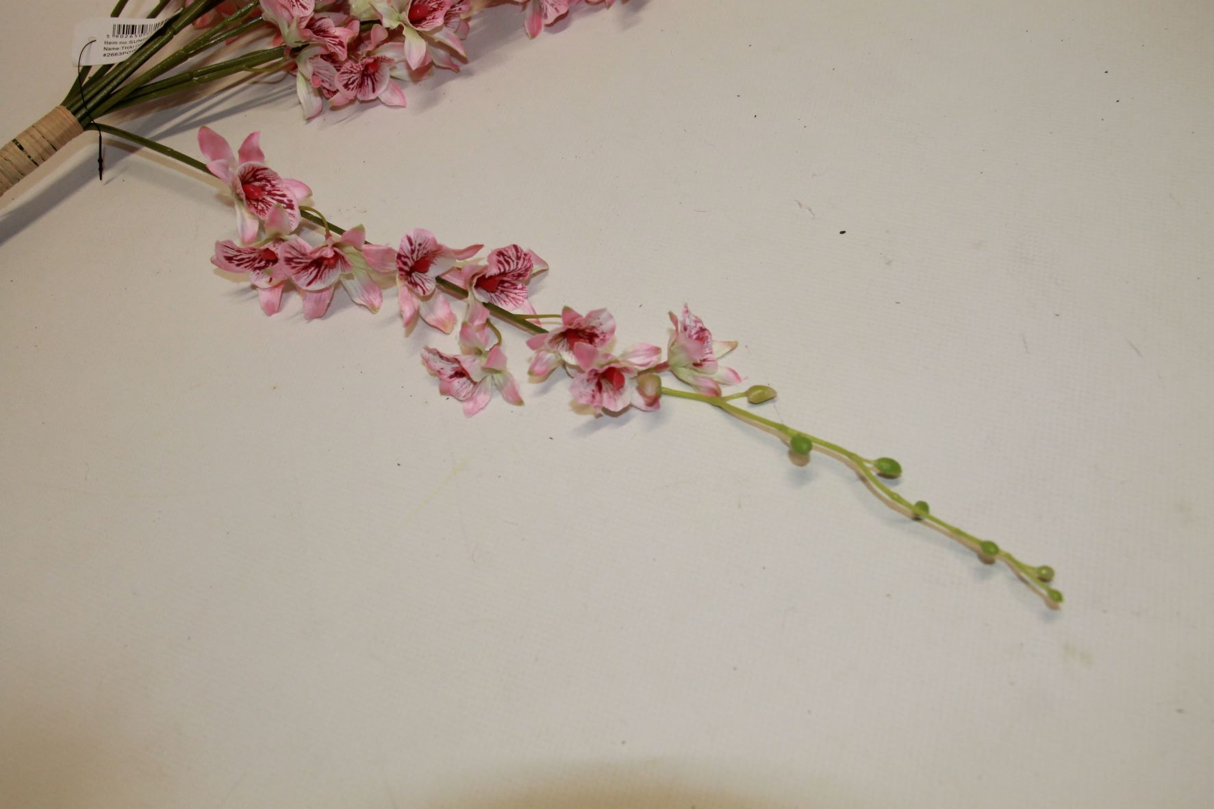 STORCZYK TAJLANDZKI • ,;: #2663 POWDER PINK 
