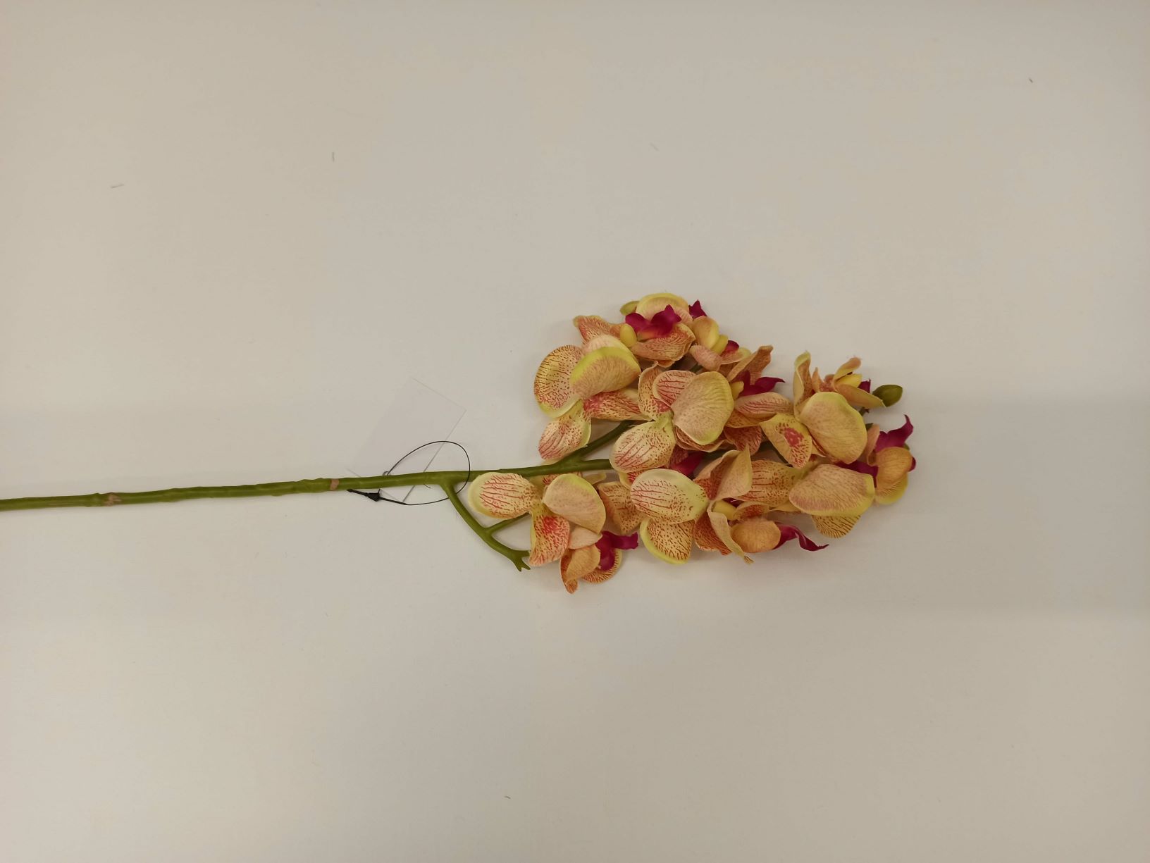 STORCZYK SATYNA DROBNY X3 • #1408A LEMON DROPS