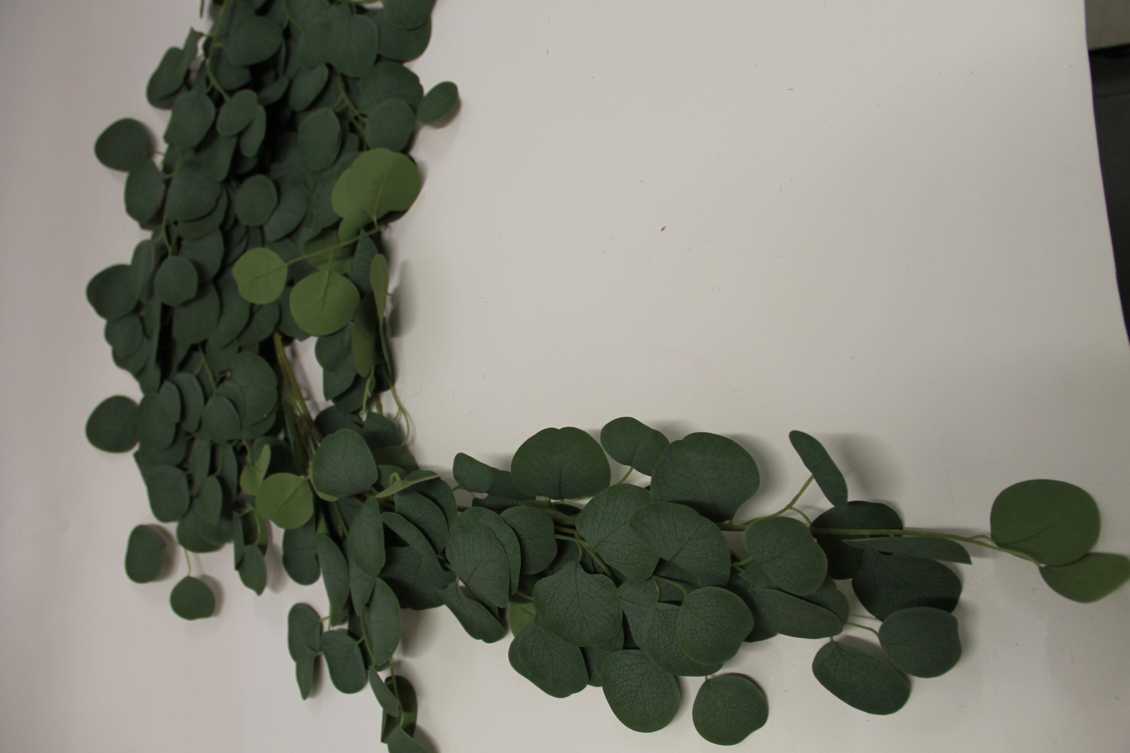 EUKALIPTUS ZWIS DŁUGI 130 cm 