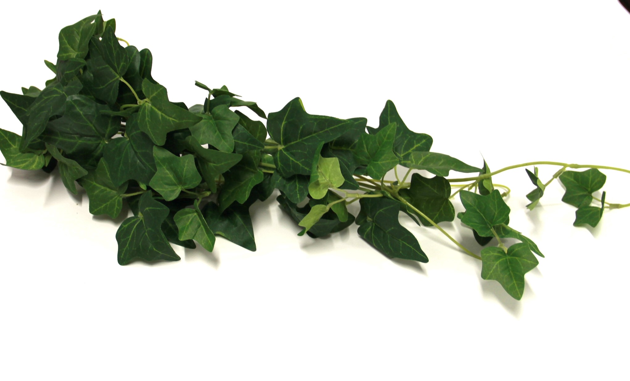 BLUSZCZ HEDERA GREEN X12