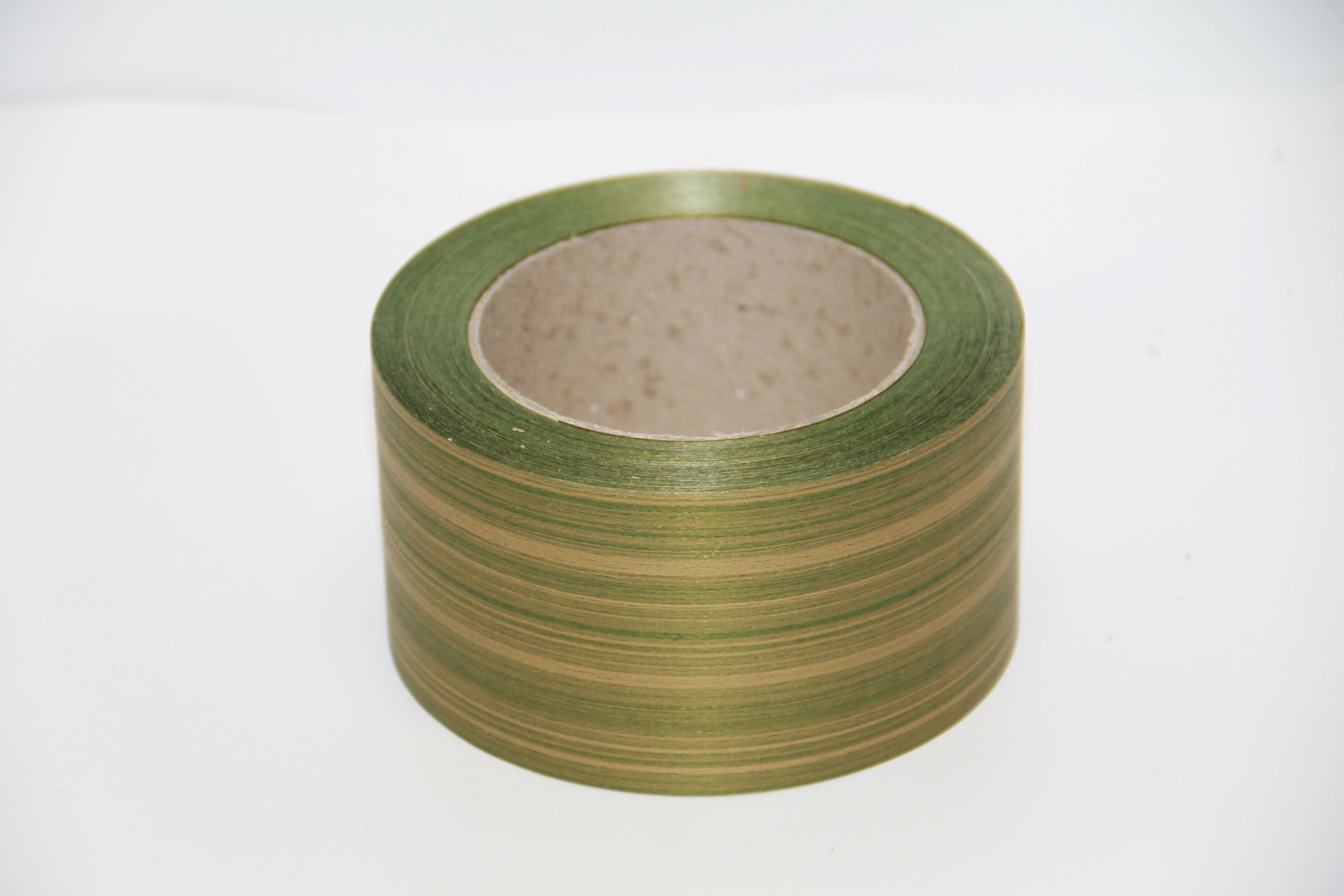 2450 WSTĄŻKA ASPIDISTRA 6 CM 50Y