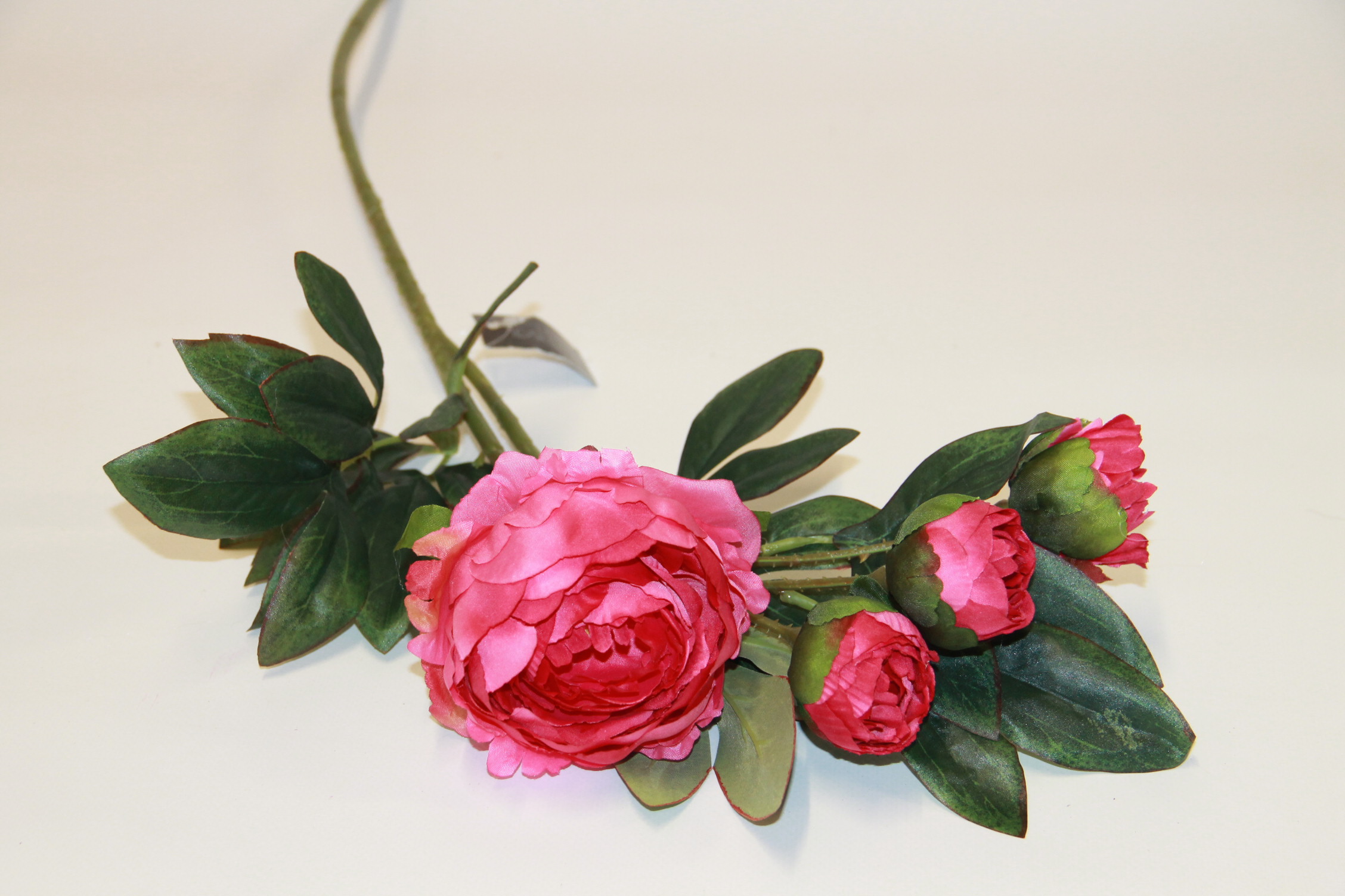 PIWONIA GAŁĄZKA KWIAT + 3 PĄKI • ,;: ROSE RED