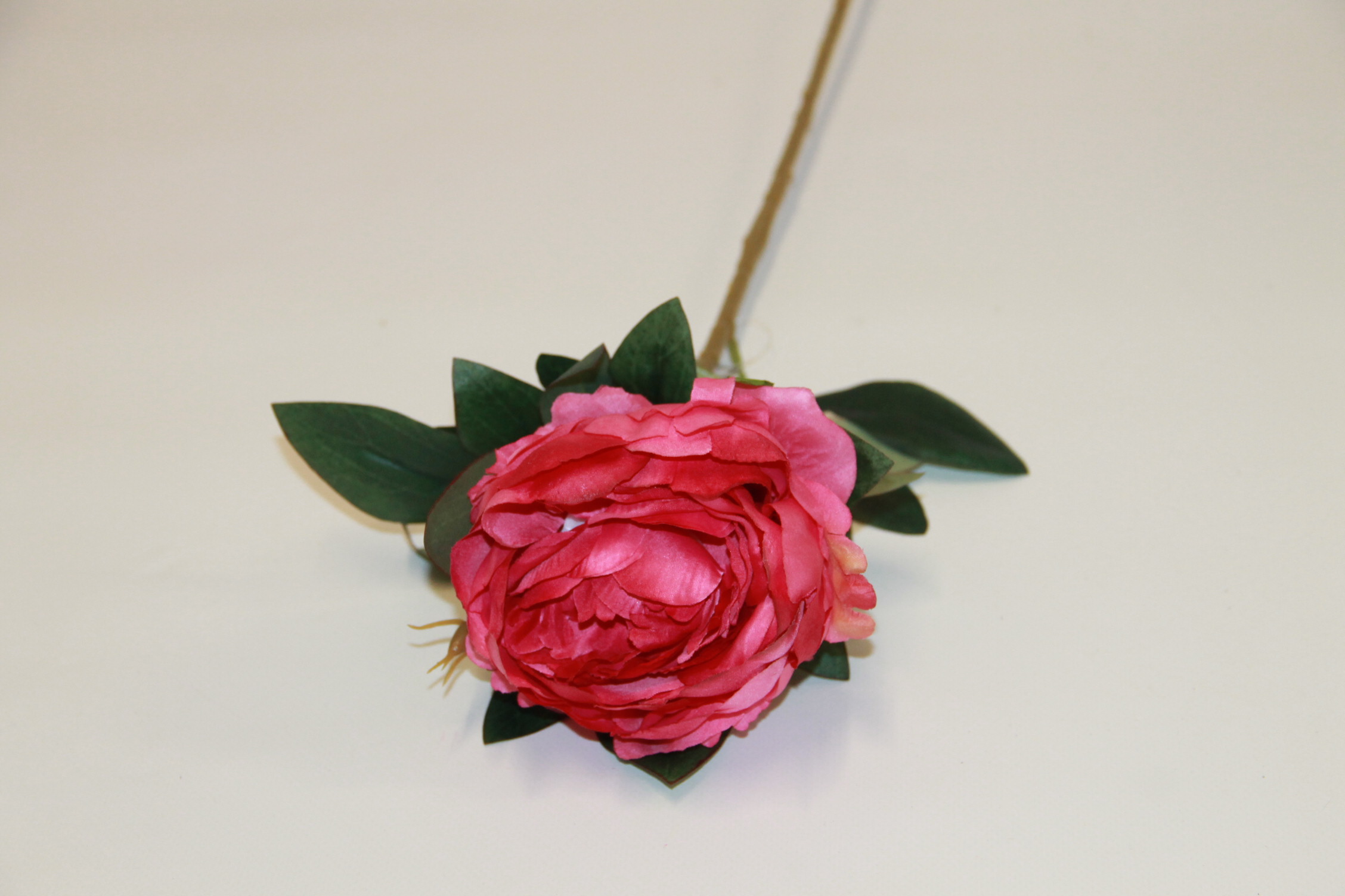 PIWONIA POJEDYŃCZA • ,;: ROSE RED