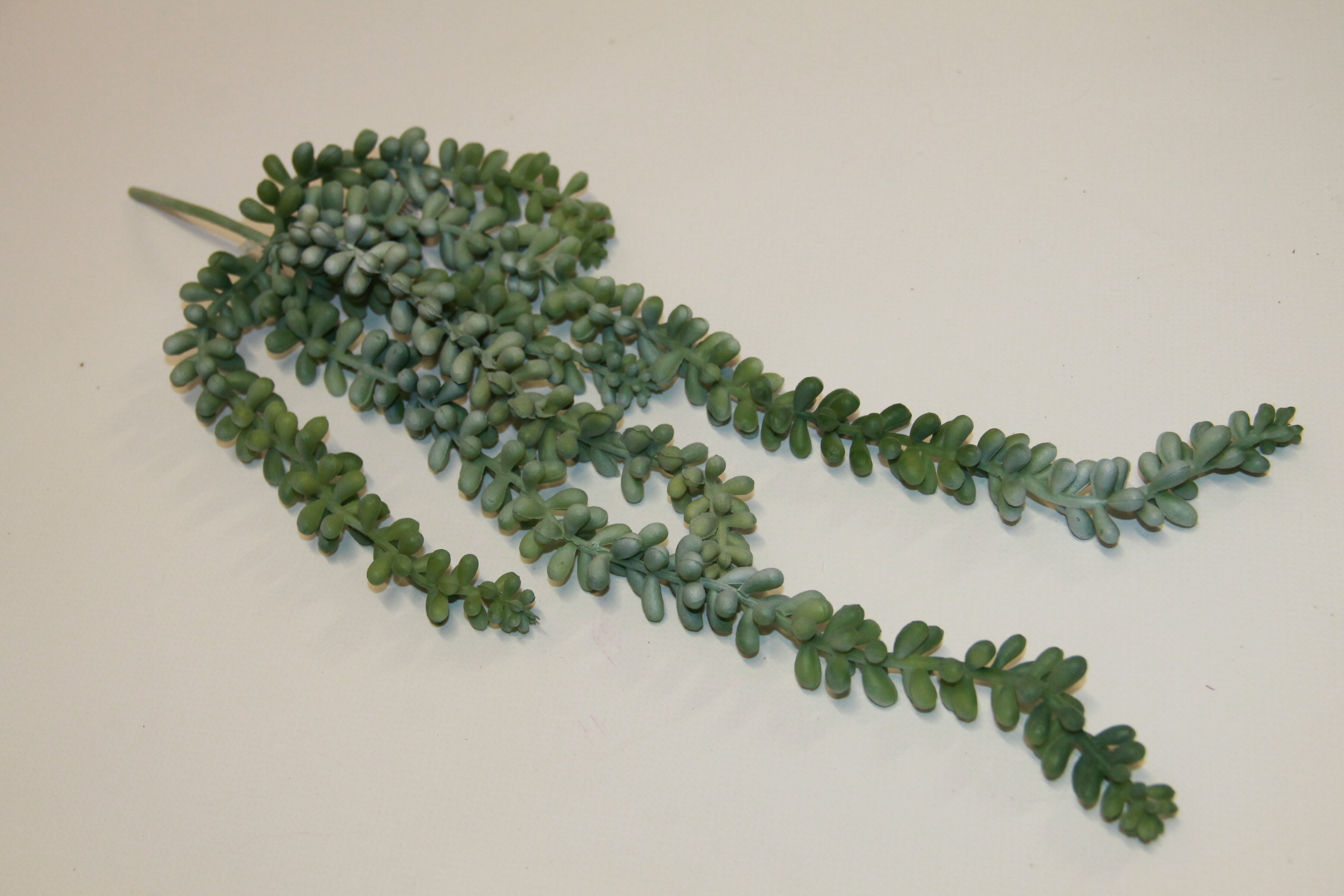 STARZEC ZWIS GREEN/GREY