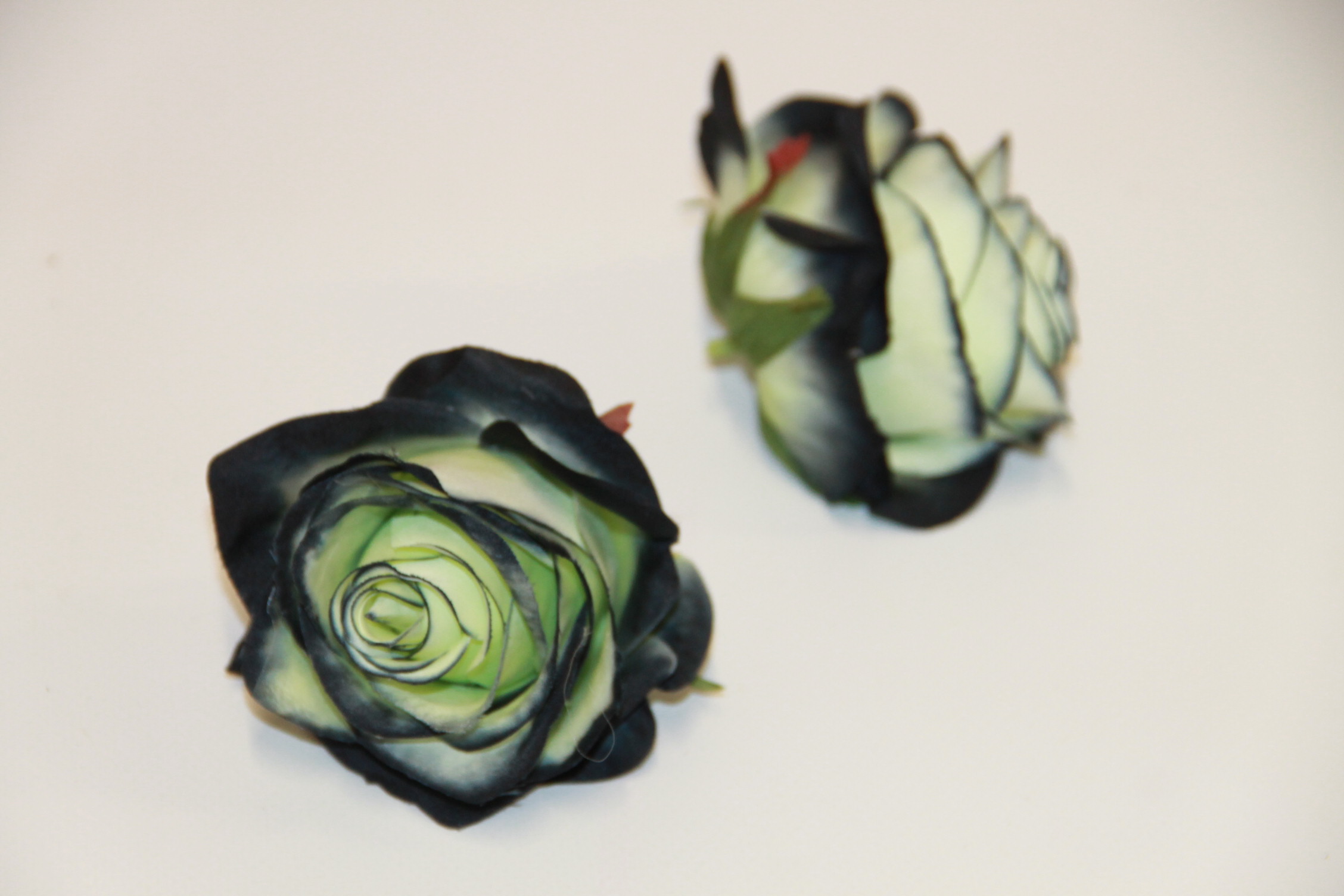 RÓŻA WYR. 385 • ,;: #3556 GREEN EDGE BLACK