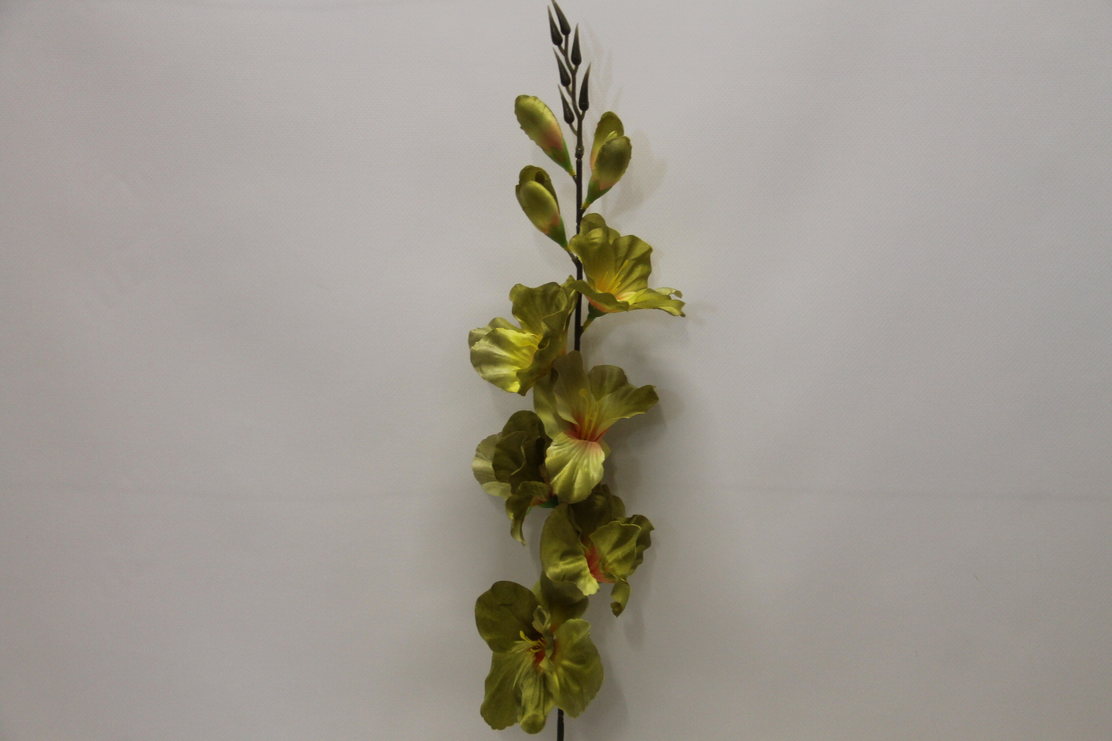 MIECZYK DŁUGI  77 CM GREEN