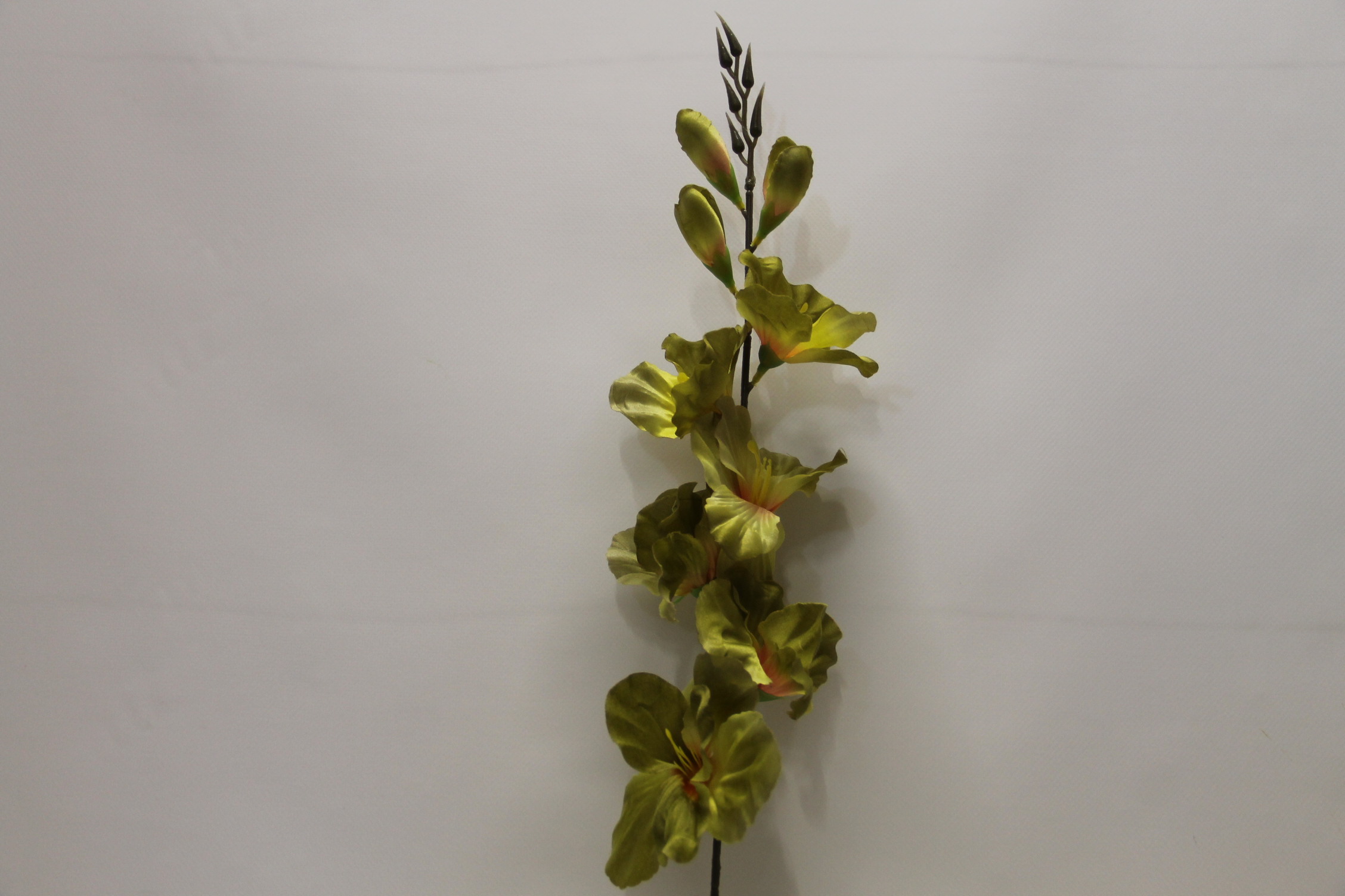 MIECZYK DŁUGI  77 CM GREEN