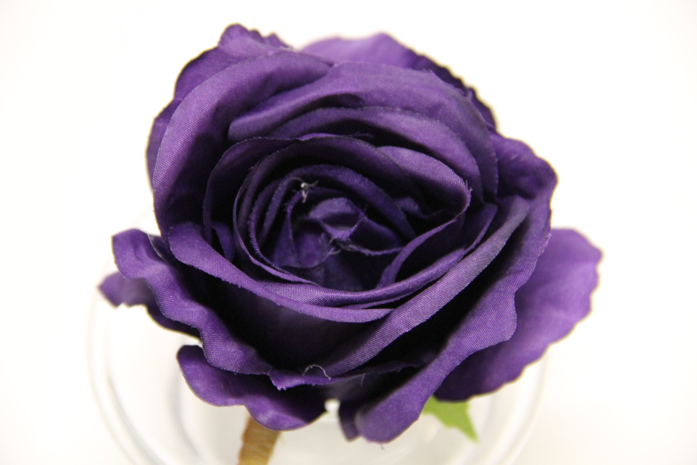 RÓŻA GŁÓWKA 8 CM DARK VIOLET