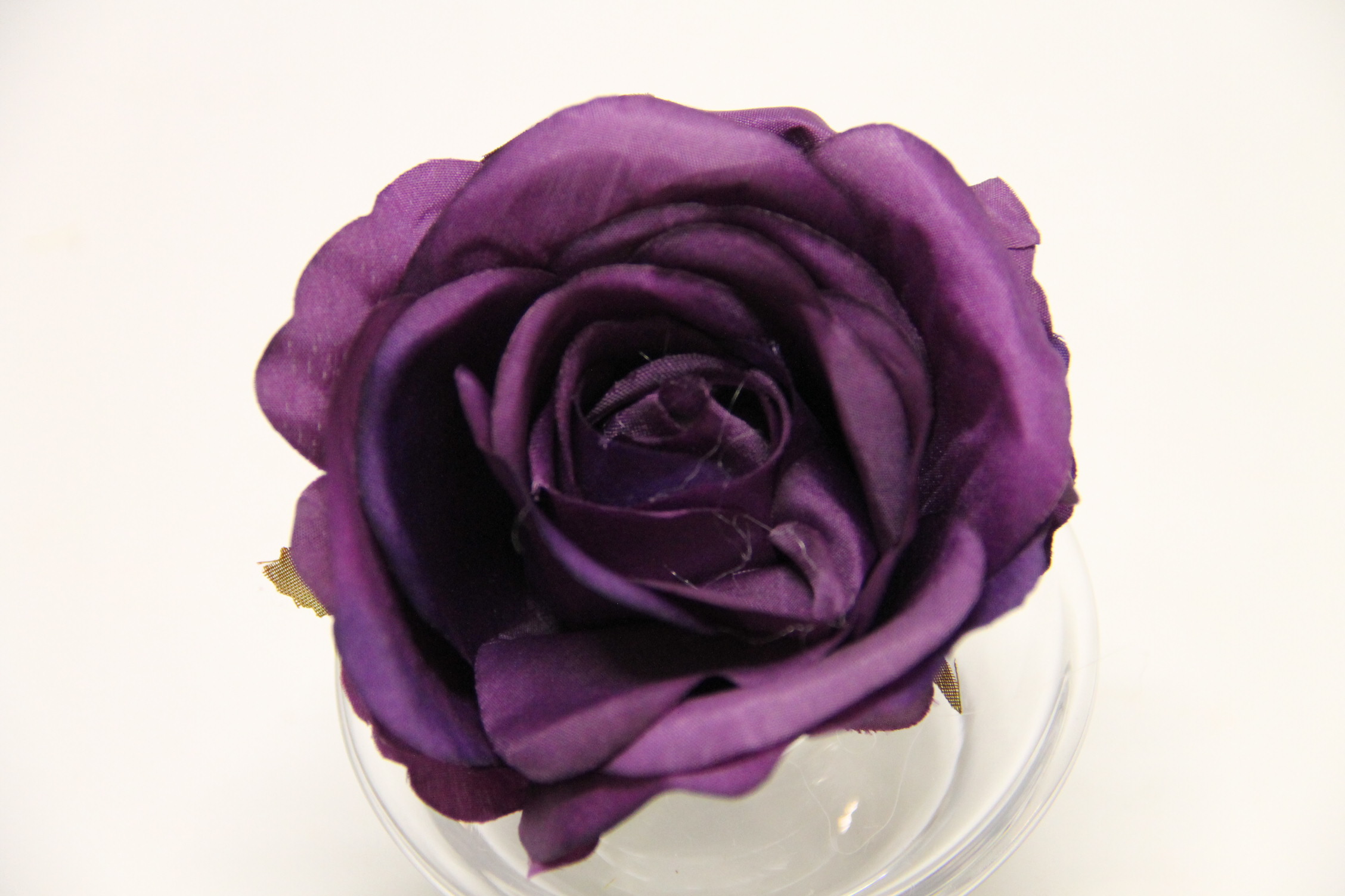 RÓŻA GŁÓWKA 8 CM PLUM