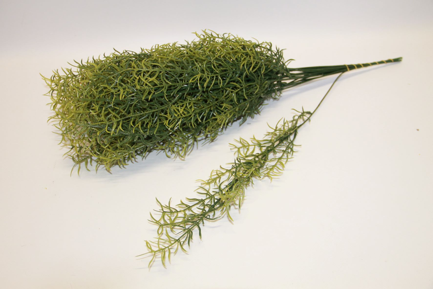 145 ASPARAGUS
