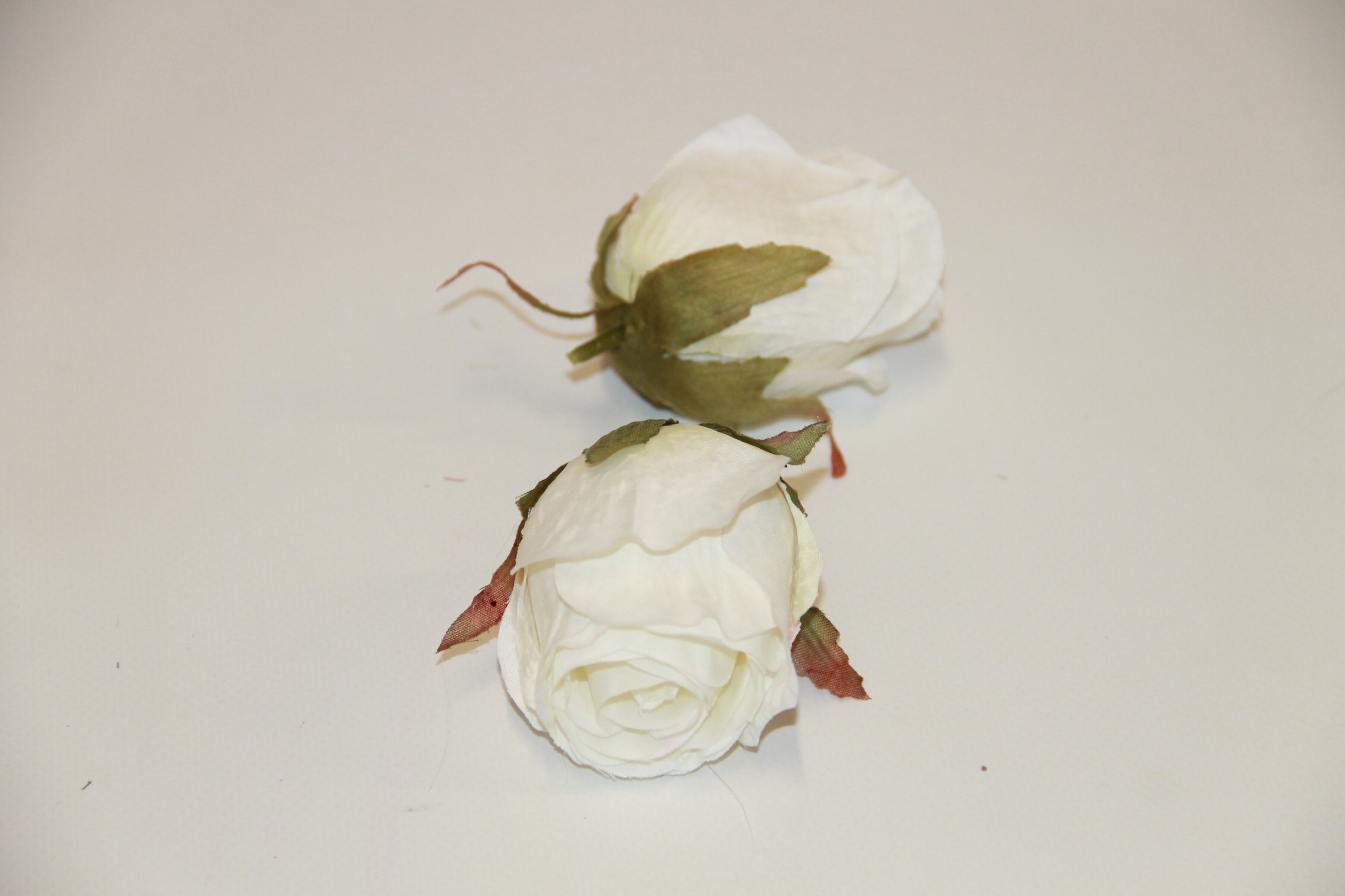 RÓŻA PODSUSZANA PĄK • ': WHITE.