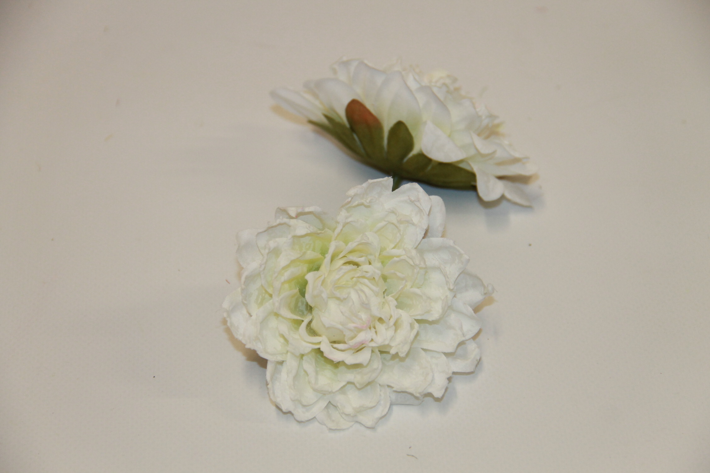 DALIA PODSUSZANA WYROBOWA • ': WHITE.