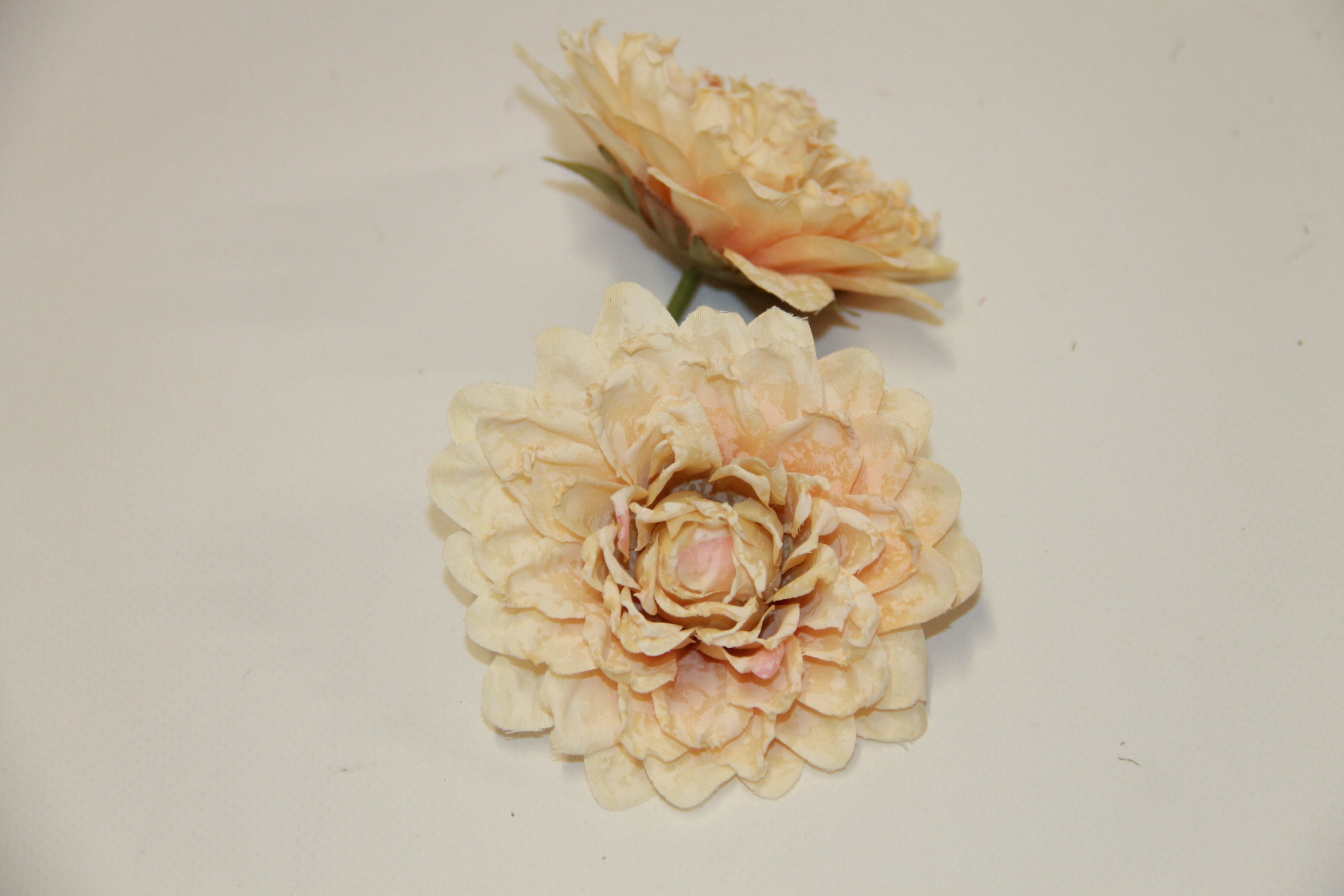 DALIA PODSUSZANA WYROBOWA • ': PEACH.