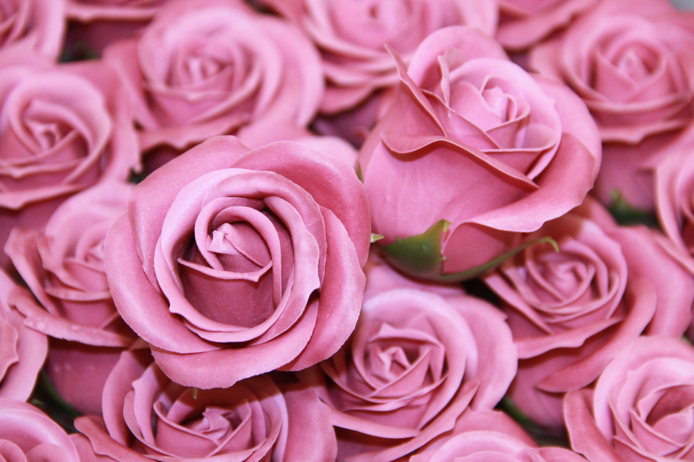 RÓŻA MYDLANA MAŁA 50 SZT. • ': AUTUMN PINK