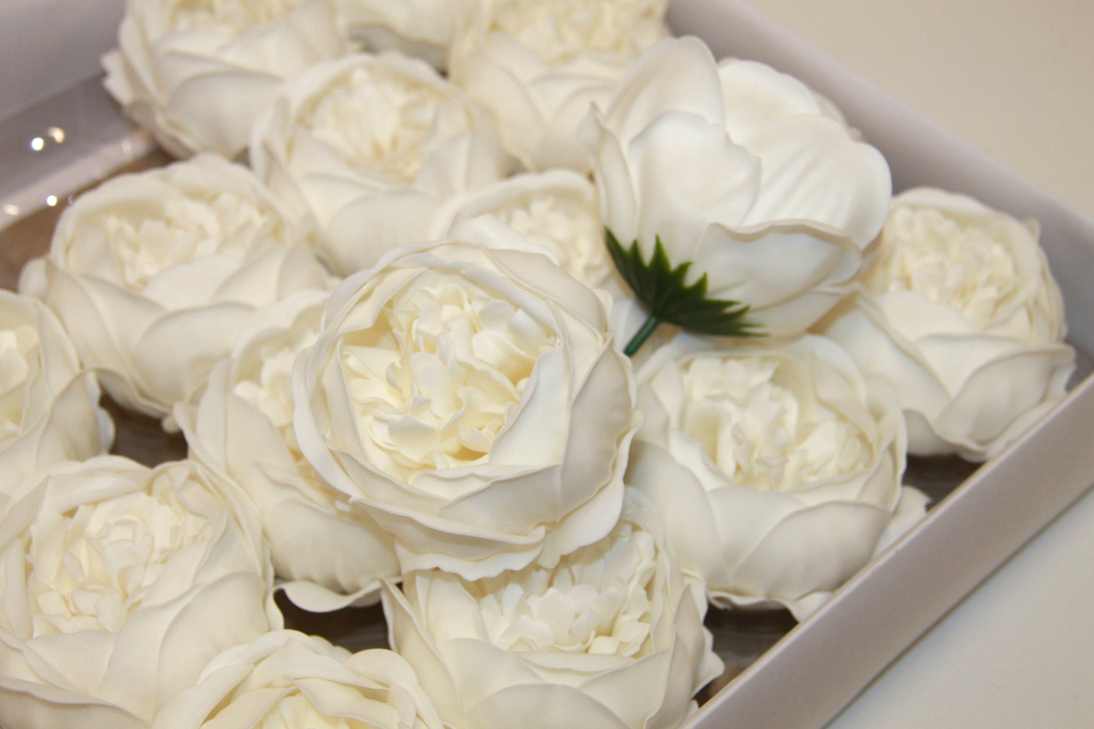 PIWONIA MYDLANA  • ,;: WHITE