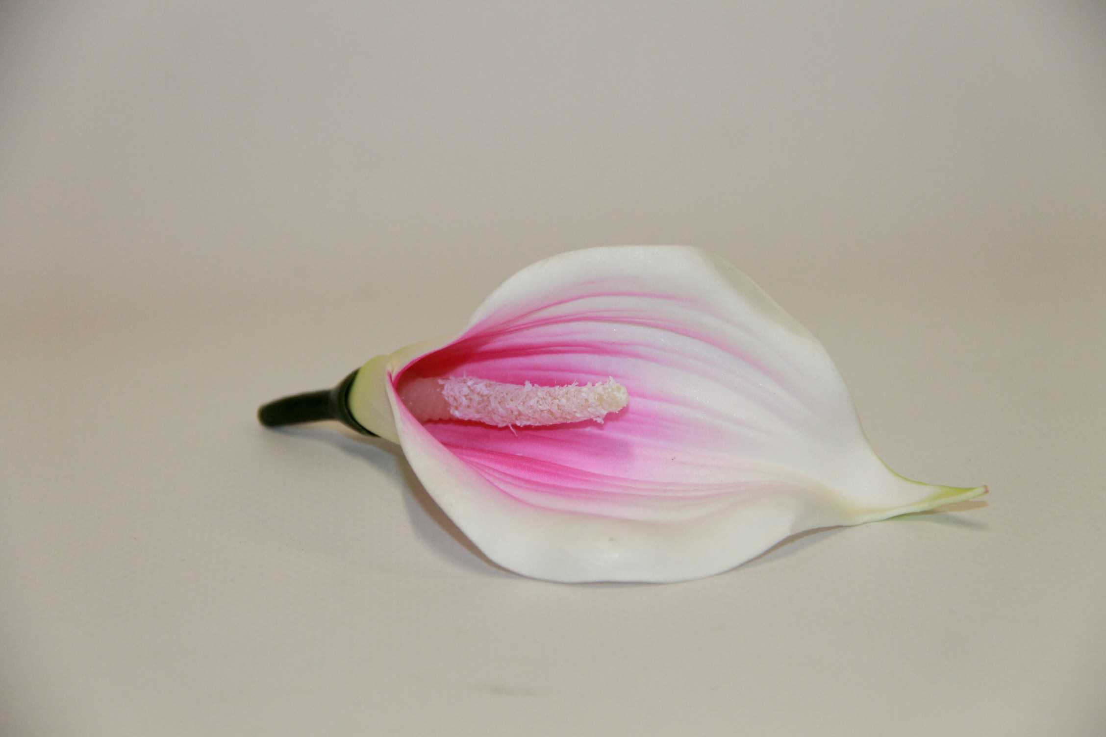 KALLA PIANKOWA WYROBOWA DARK PINK/CREAM