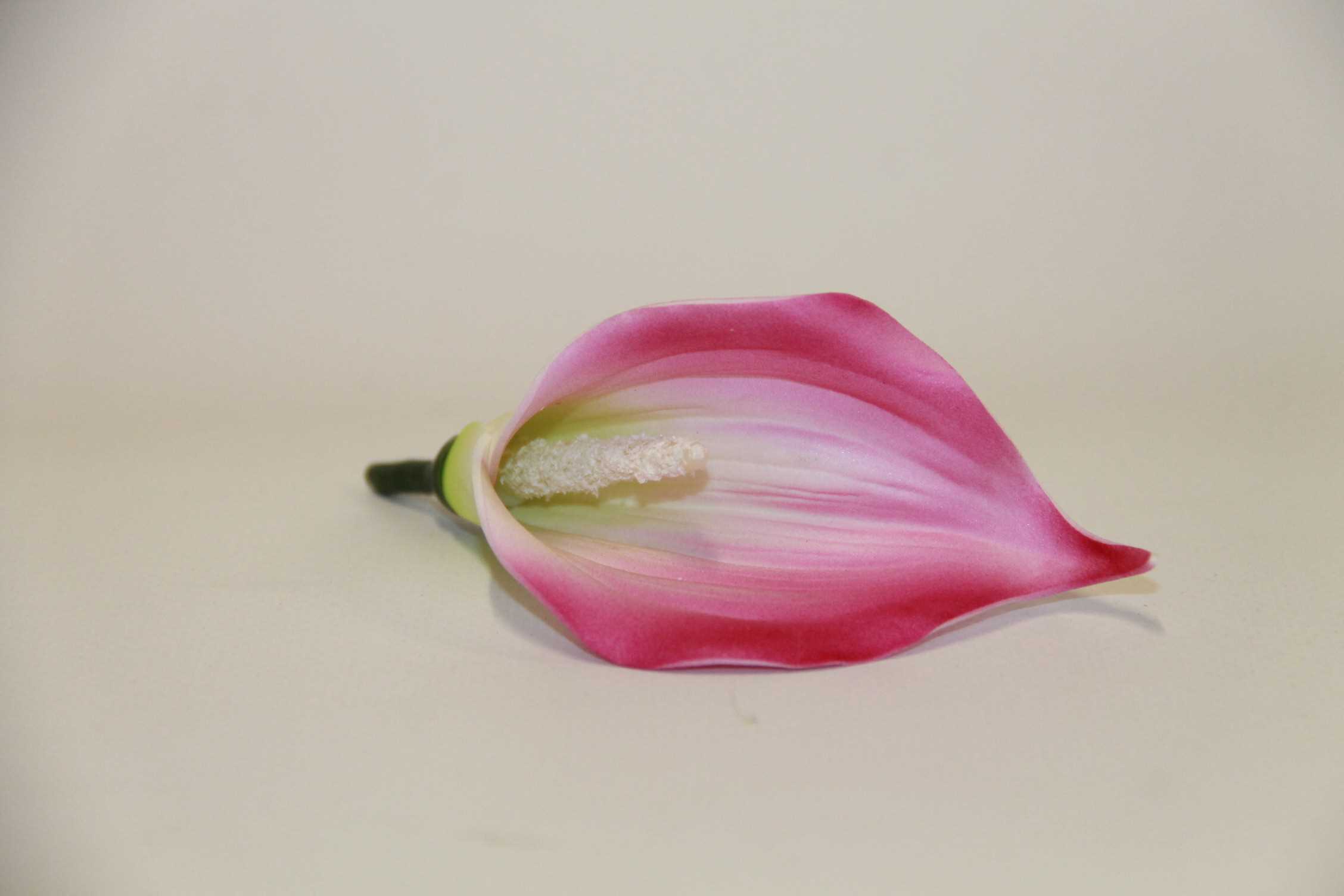 KALLA PIANKOWA WYROBOWA PINK