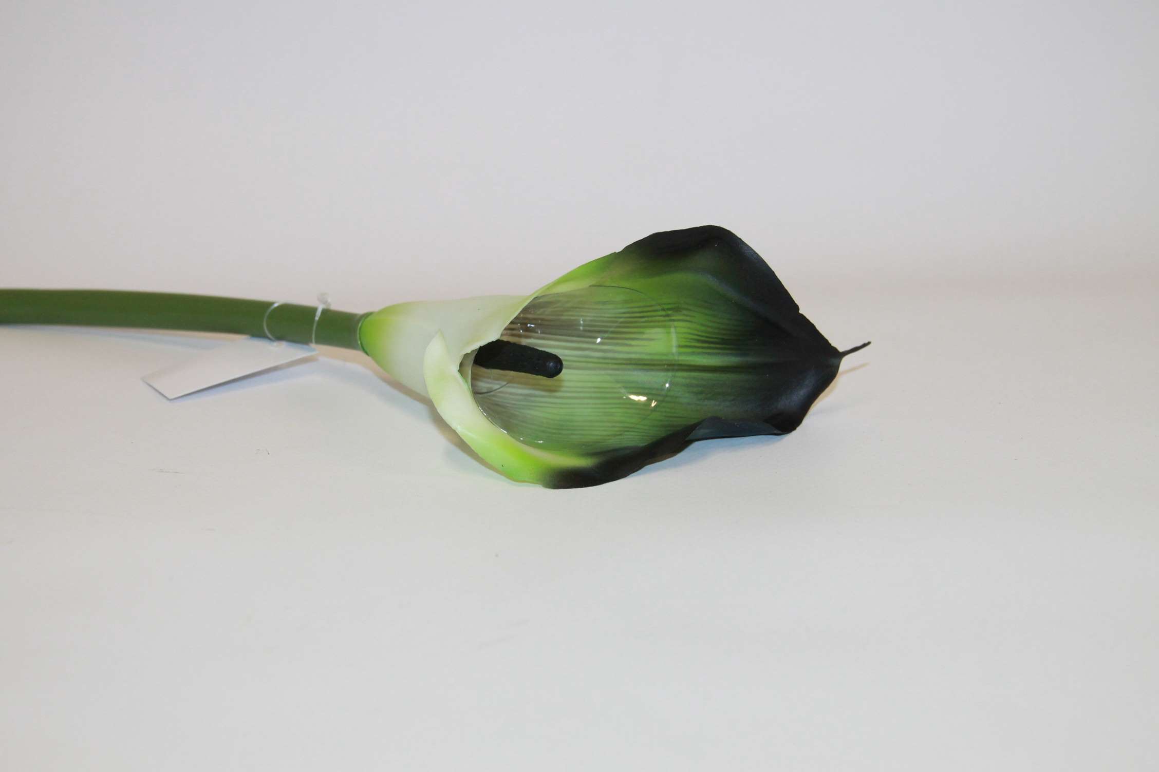 KALLA POJEDYŃCZA GUMA • ,;: #211S LIME GREEN EDGE BLACK