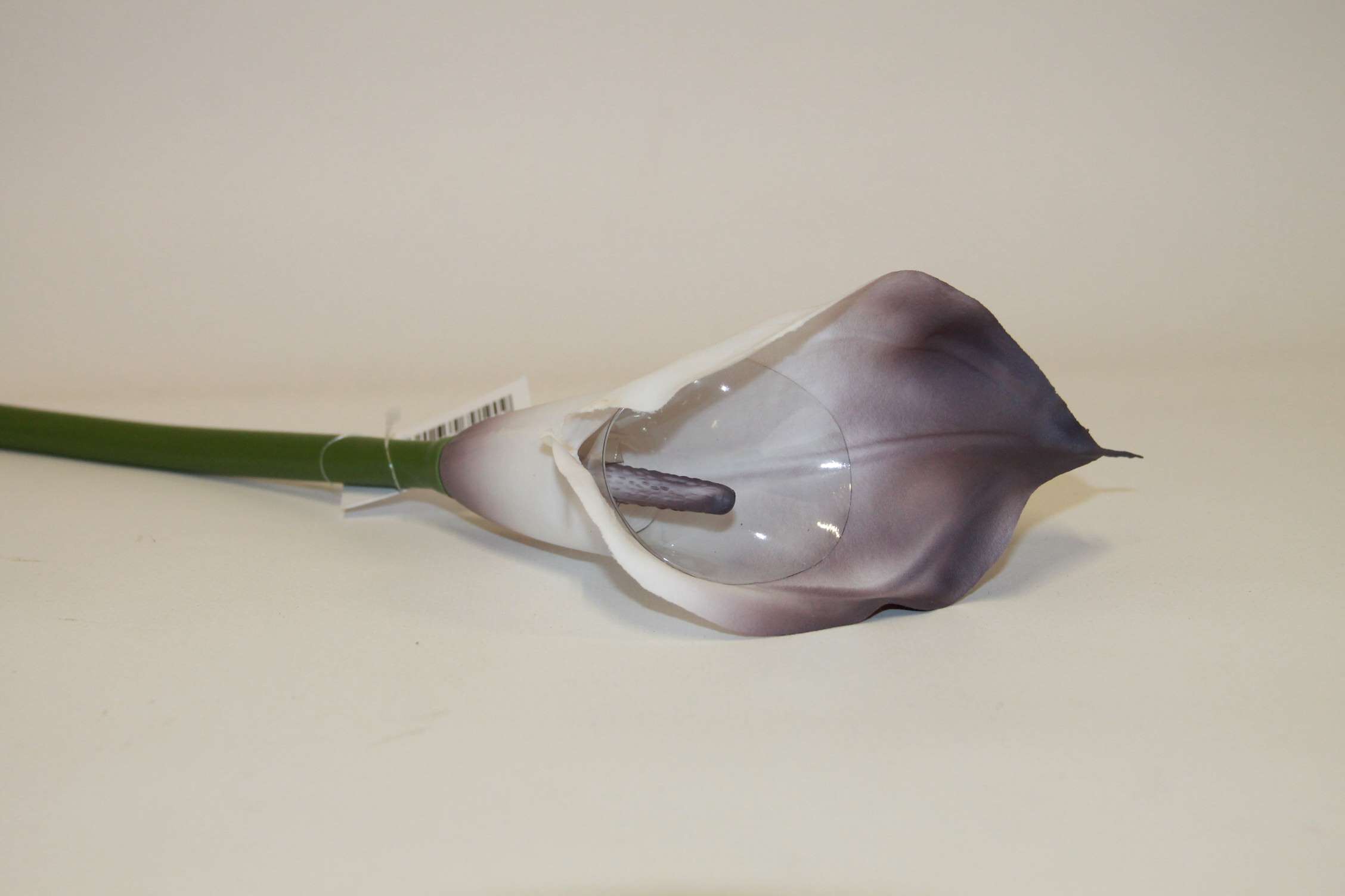 KALLA POJEDYŃCZA 1 SZT GUMA • ,;: #145S CREAM DIRTY VIOLET