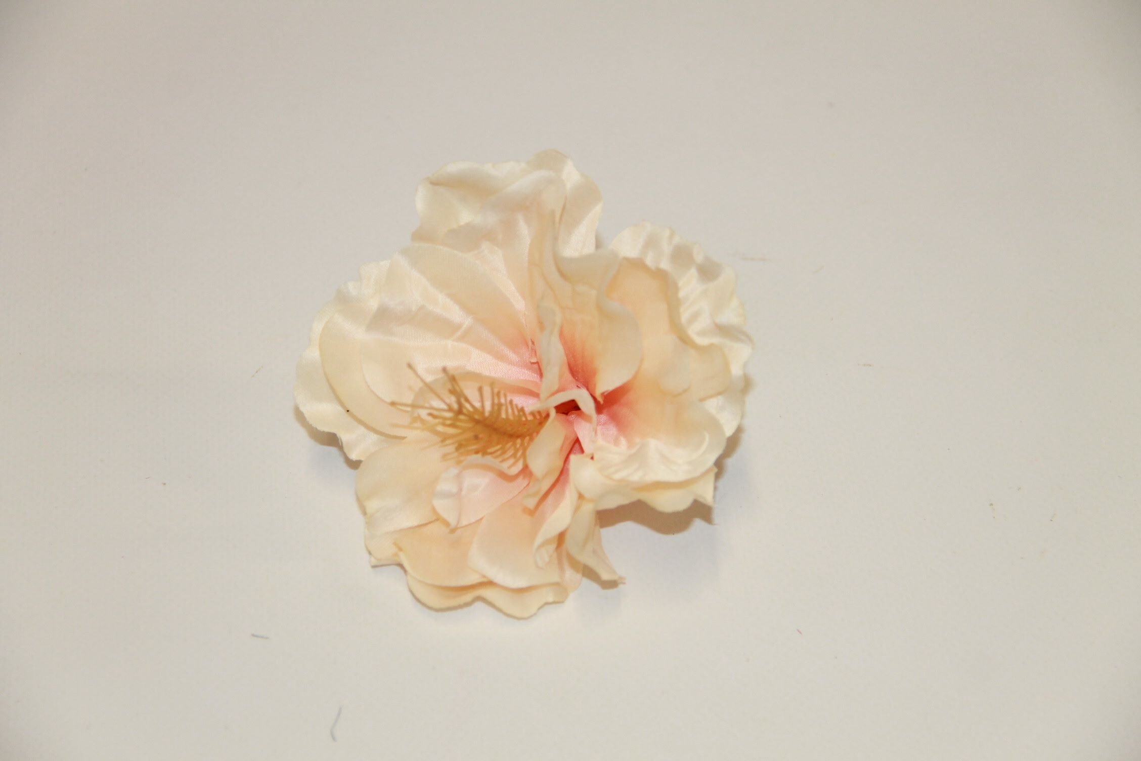 HIBISKUS WYROBOWY • ': _1 CREAM