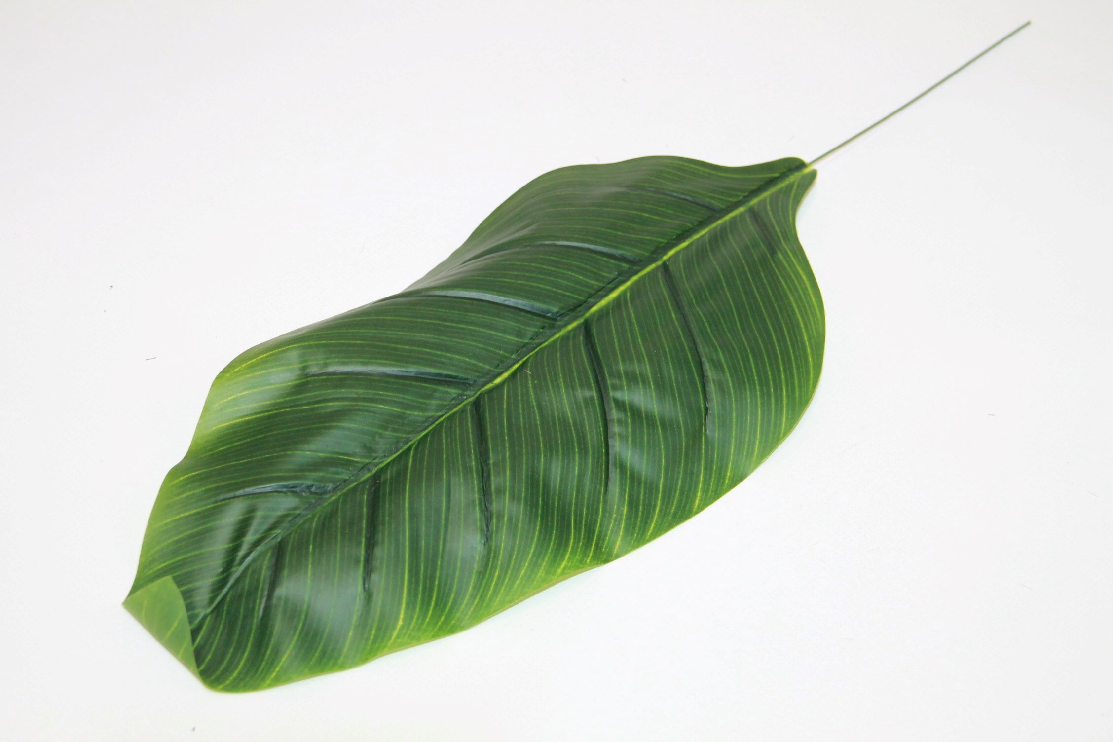LIŚĆ BANAN GREEN