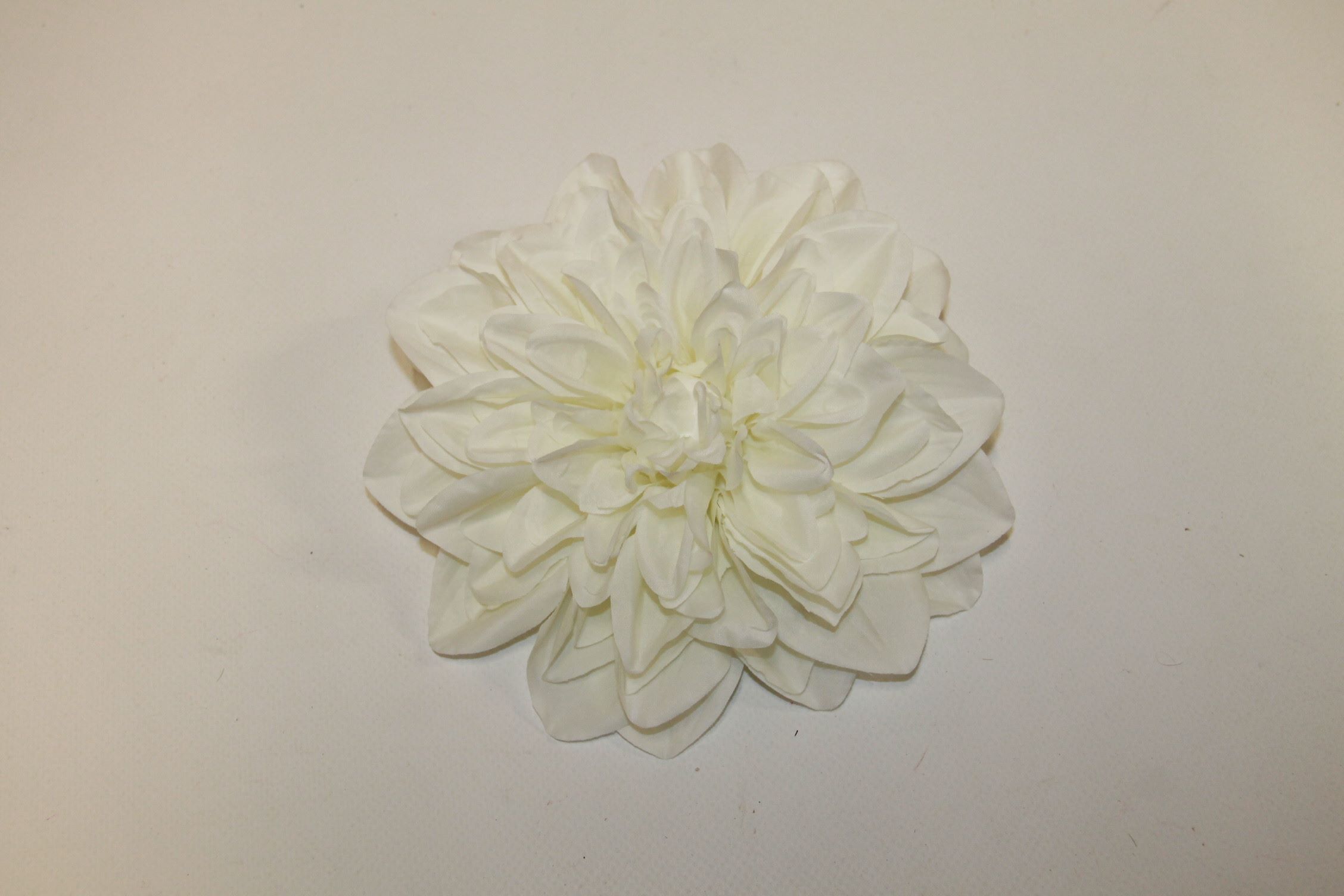 DALIA WYROBOWA • ,;: CREAM