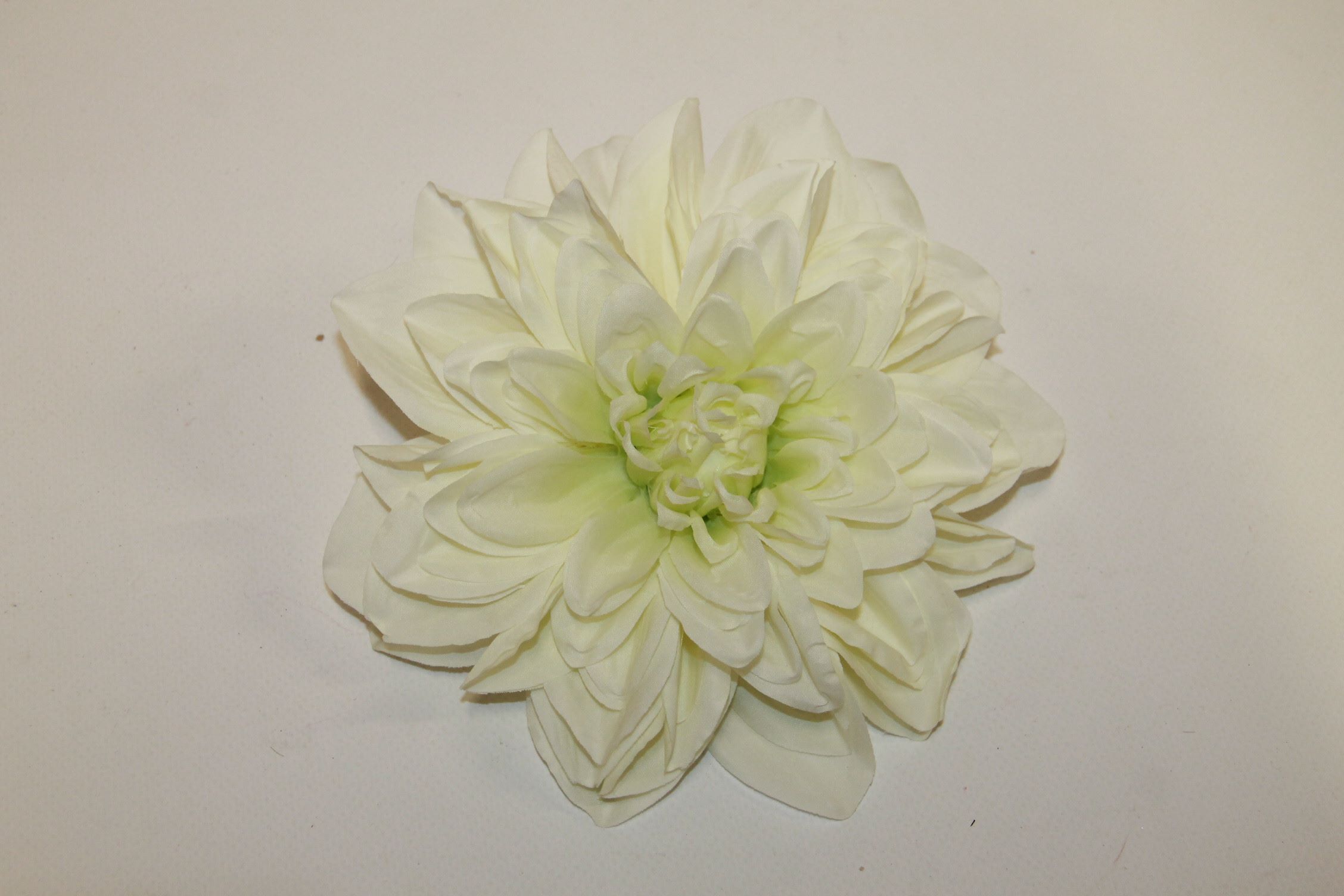 DALIA WYROBOWA • ,;: LT. GREEN.