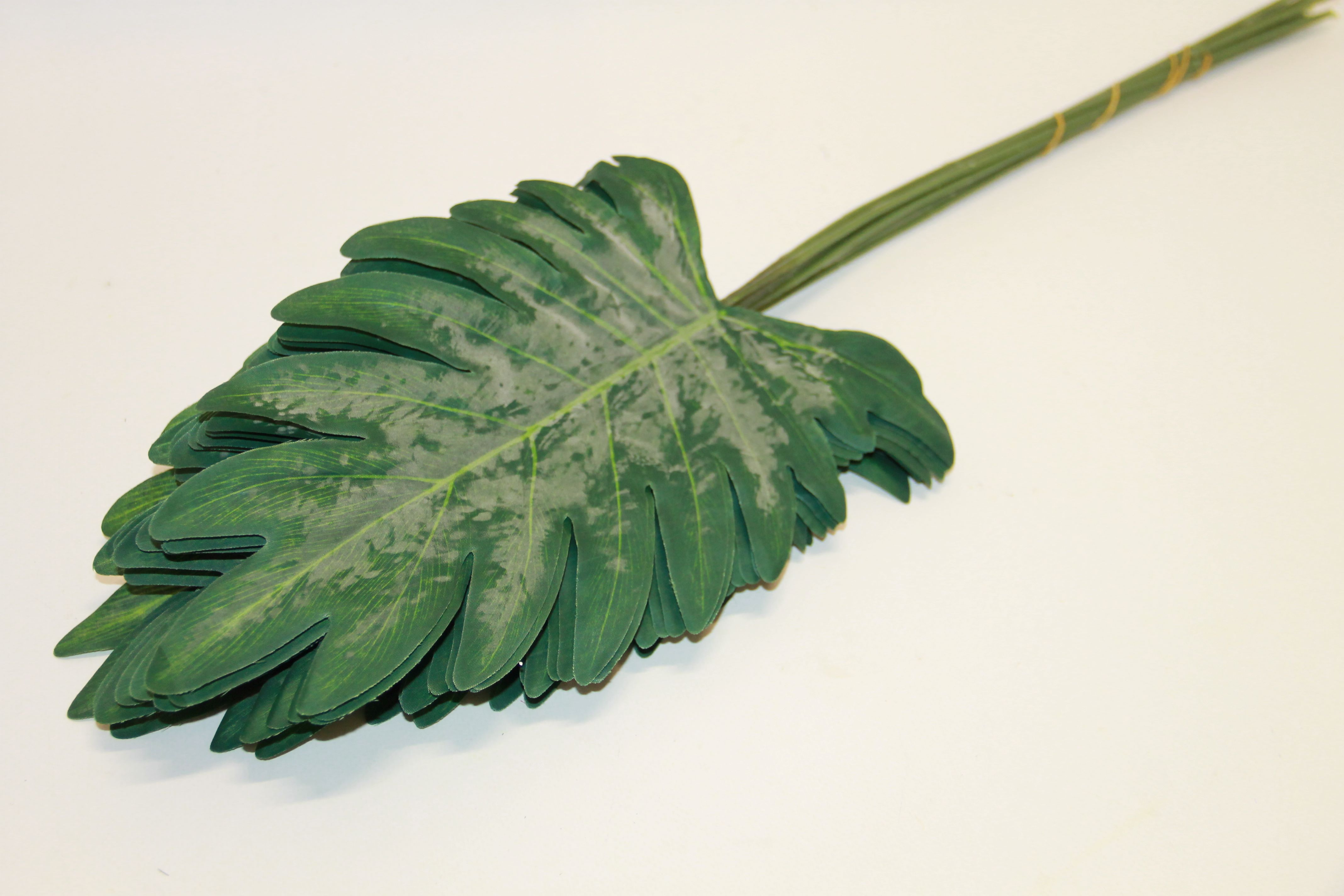 LIŚĆ OMSZAŁY FILODENDRON
