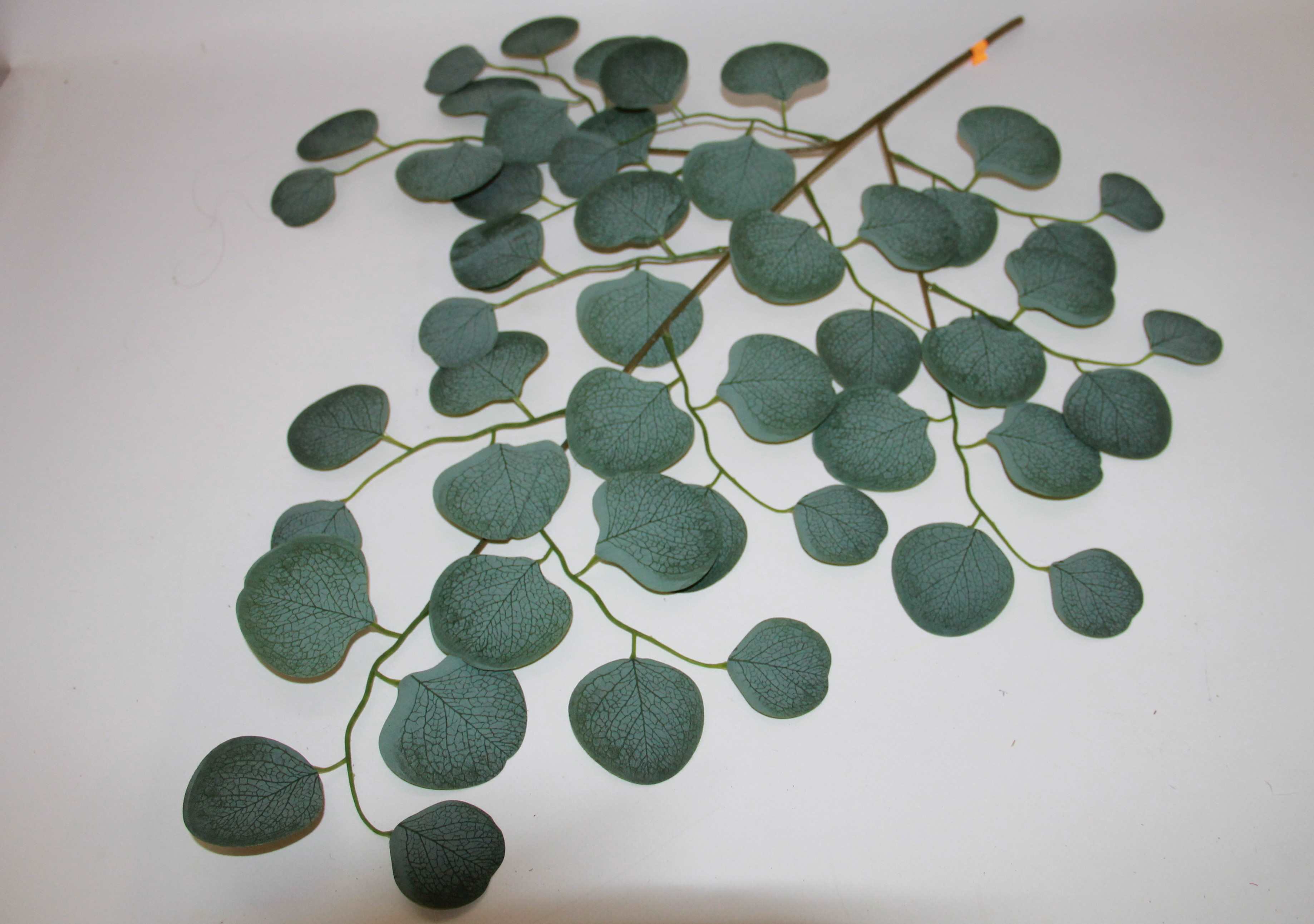 EUKALIPTUS GAŁĄZKA 70 CM 