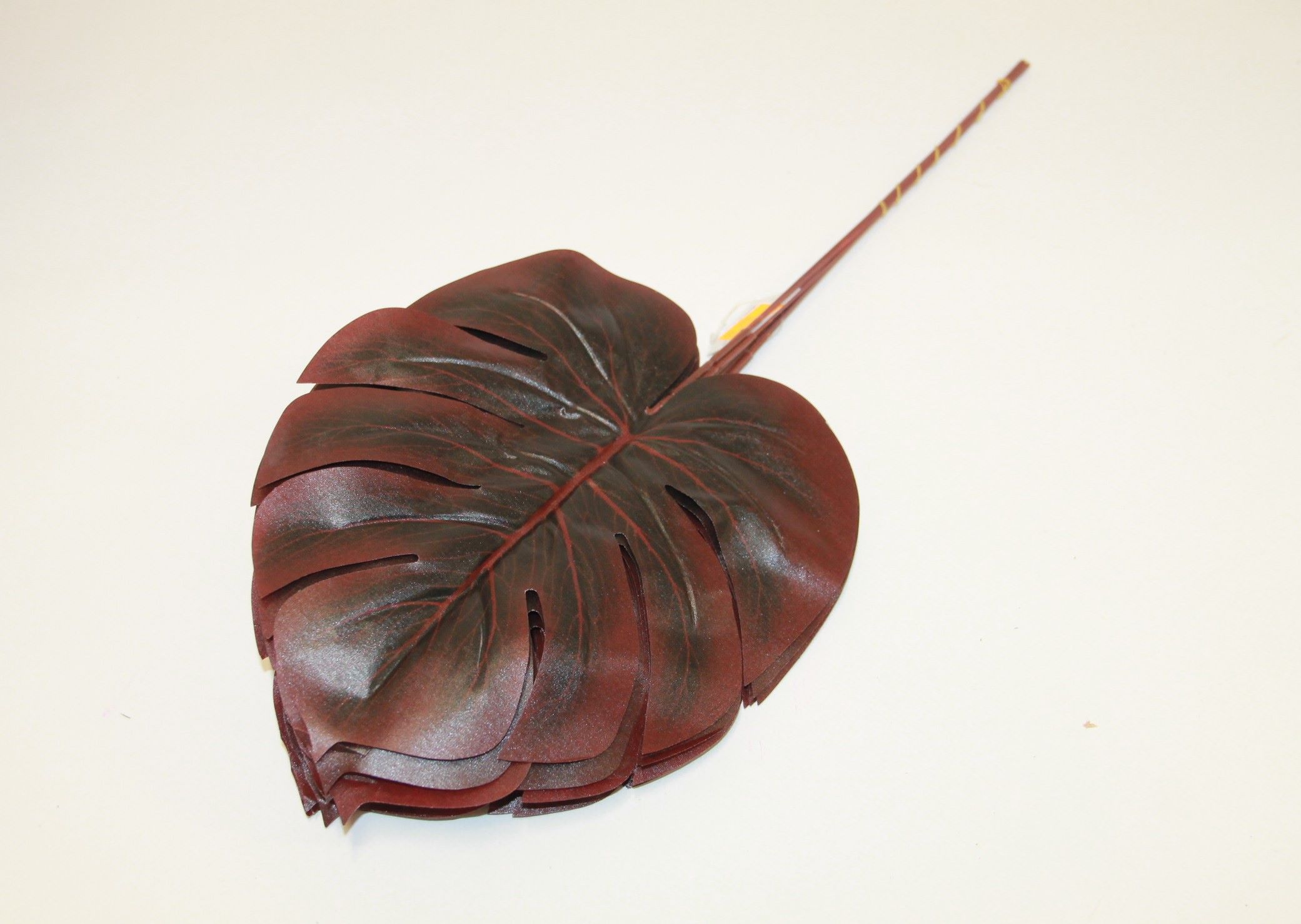 LIŚĆ FILODENDRON