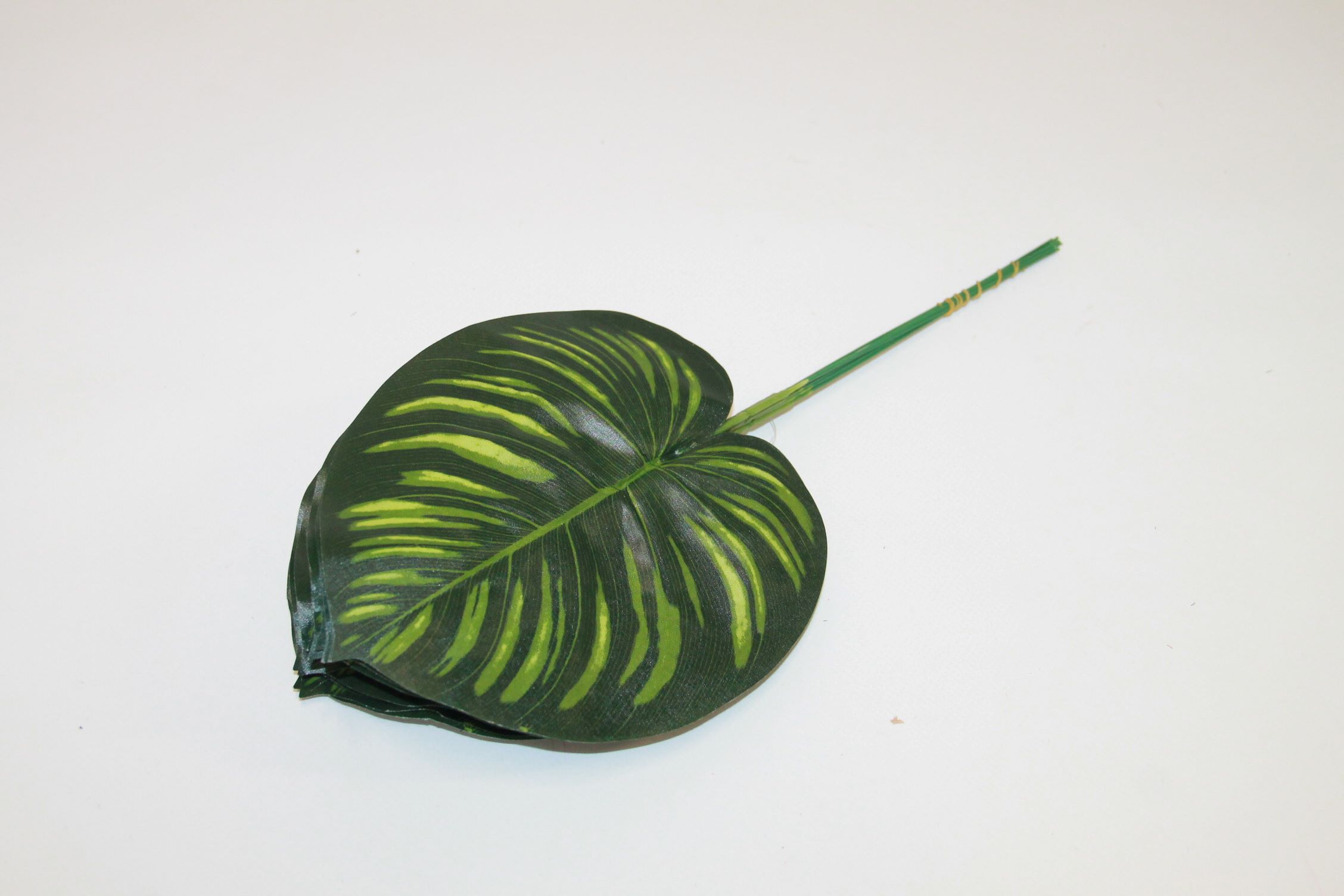 LIŚĆ FILODENDRON GLORIOSUM
