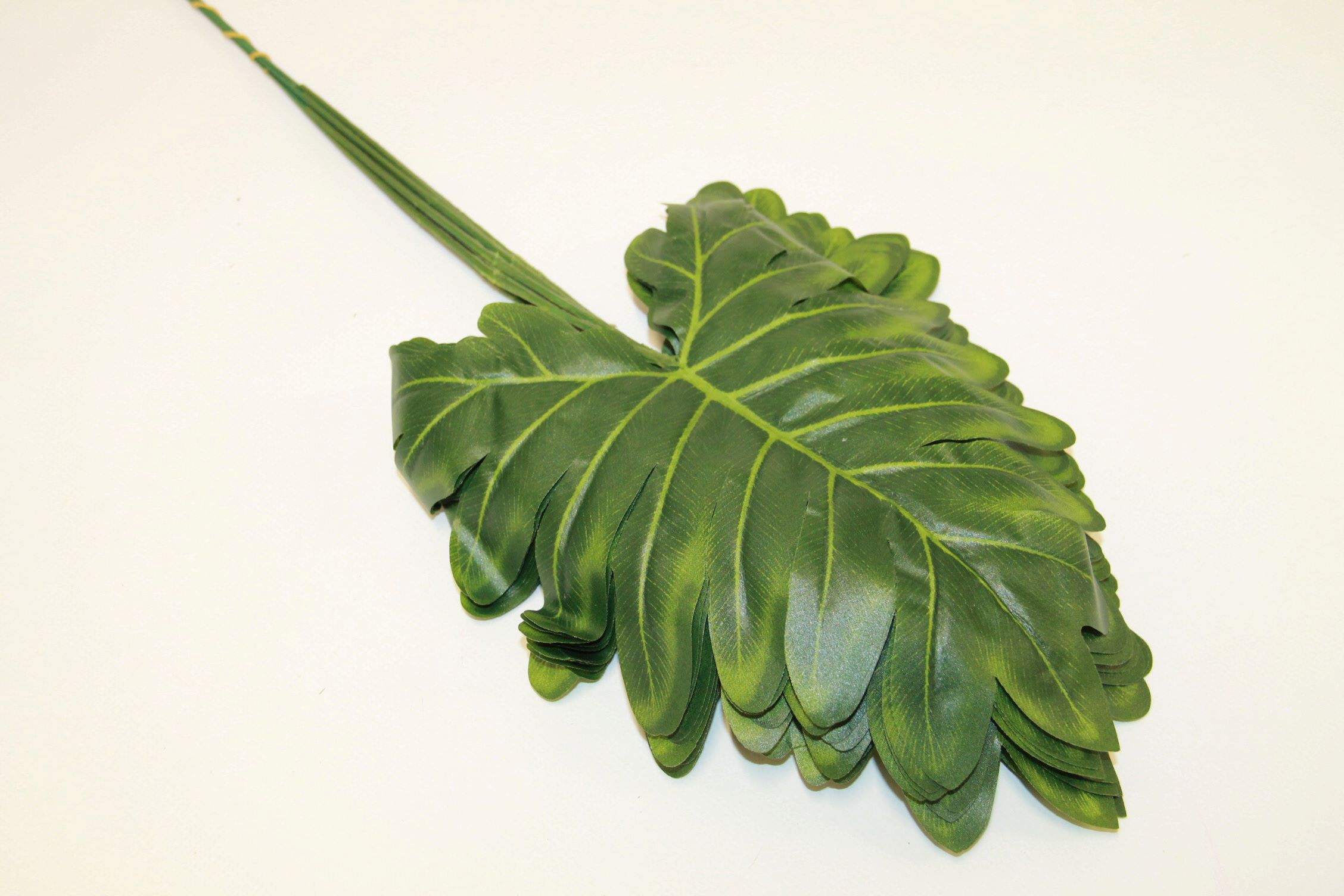 LIŚĆ FILODENDRON PIERZASTY