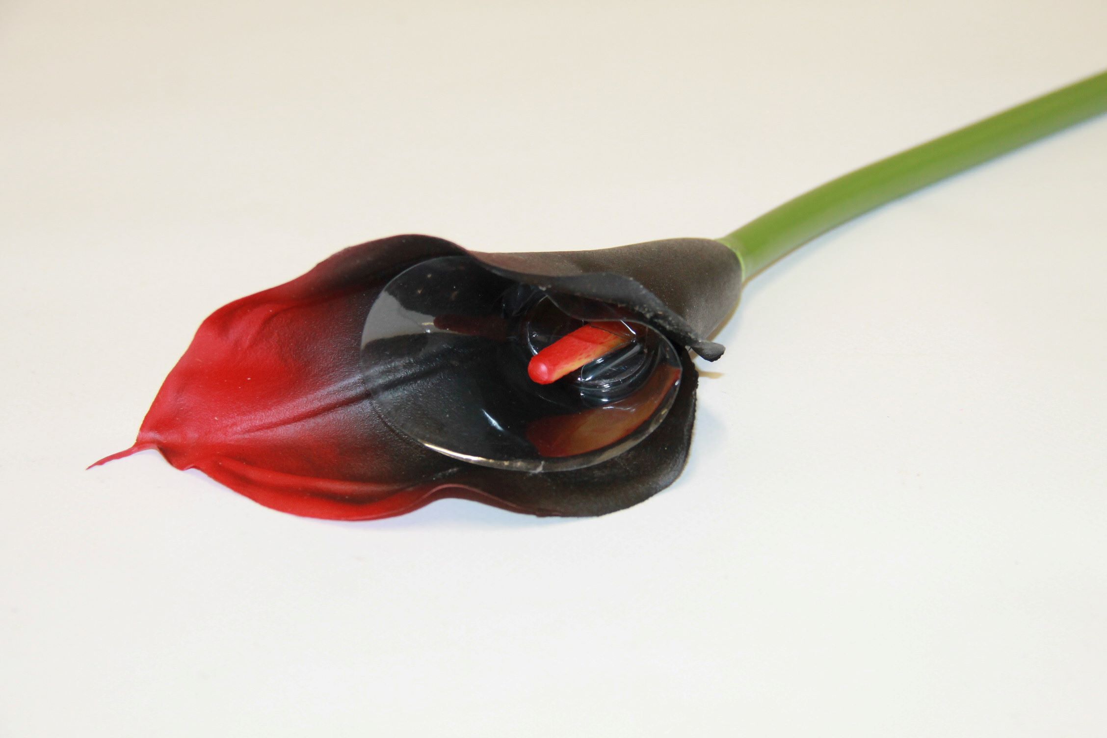 KALLA POJEDYŃCZA GUMA 24 SZT. • ,;: #187 RED BLACK