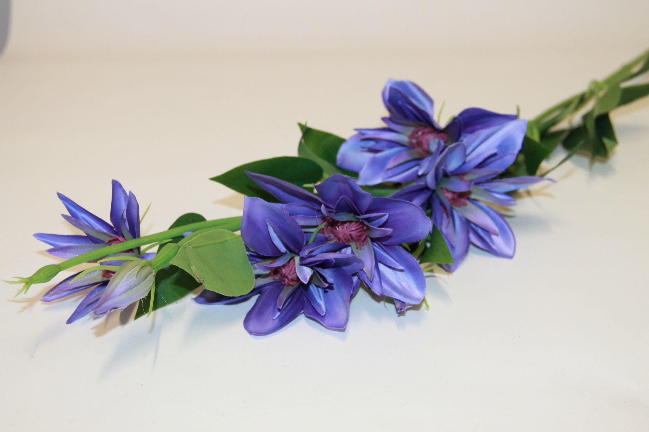 KLEMATIS GAŁĄZKA • ,;: #1650 VIOLET GREEN
