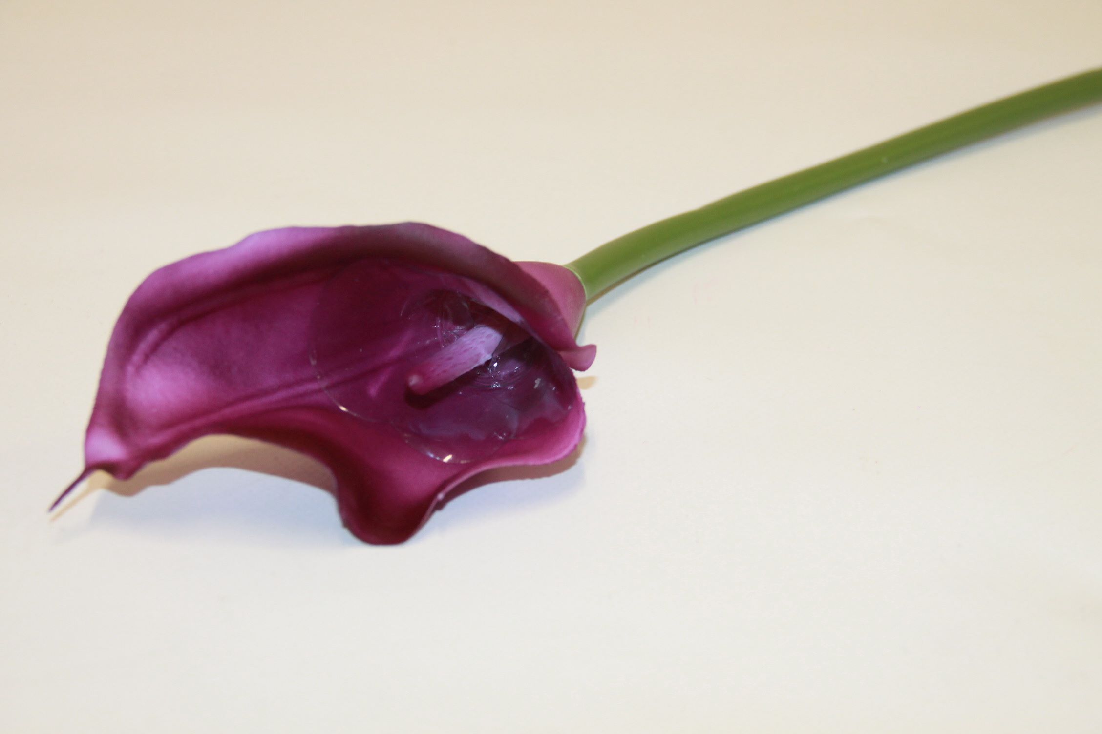 KALLA POJEDYŃCZA GUMA 24 SZT. • ,;: #17T VIOLET