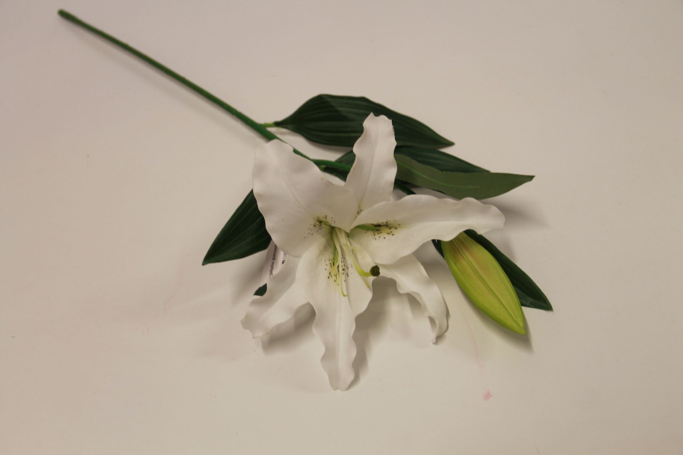 LILIA GAŁĄZKA GUMOWANA WHITE 72 CM