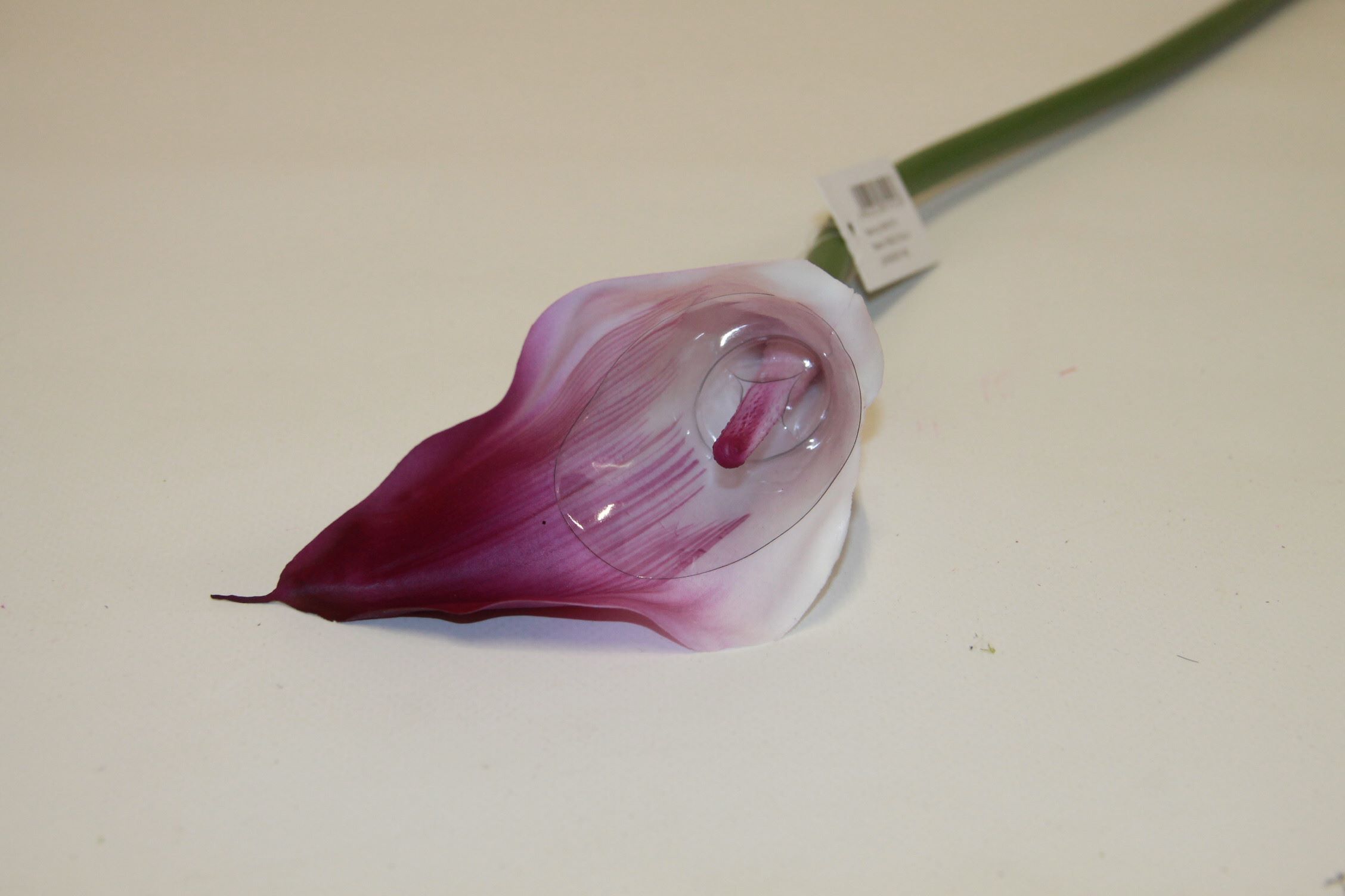 KALLA POJEDYŃCZA 1 SZT GUMA • ,;: #148S LAVENDER