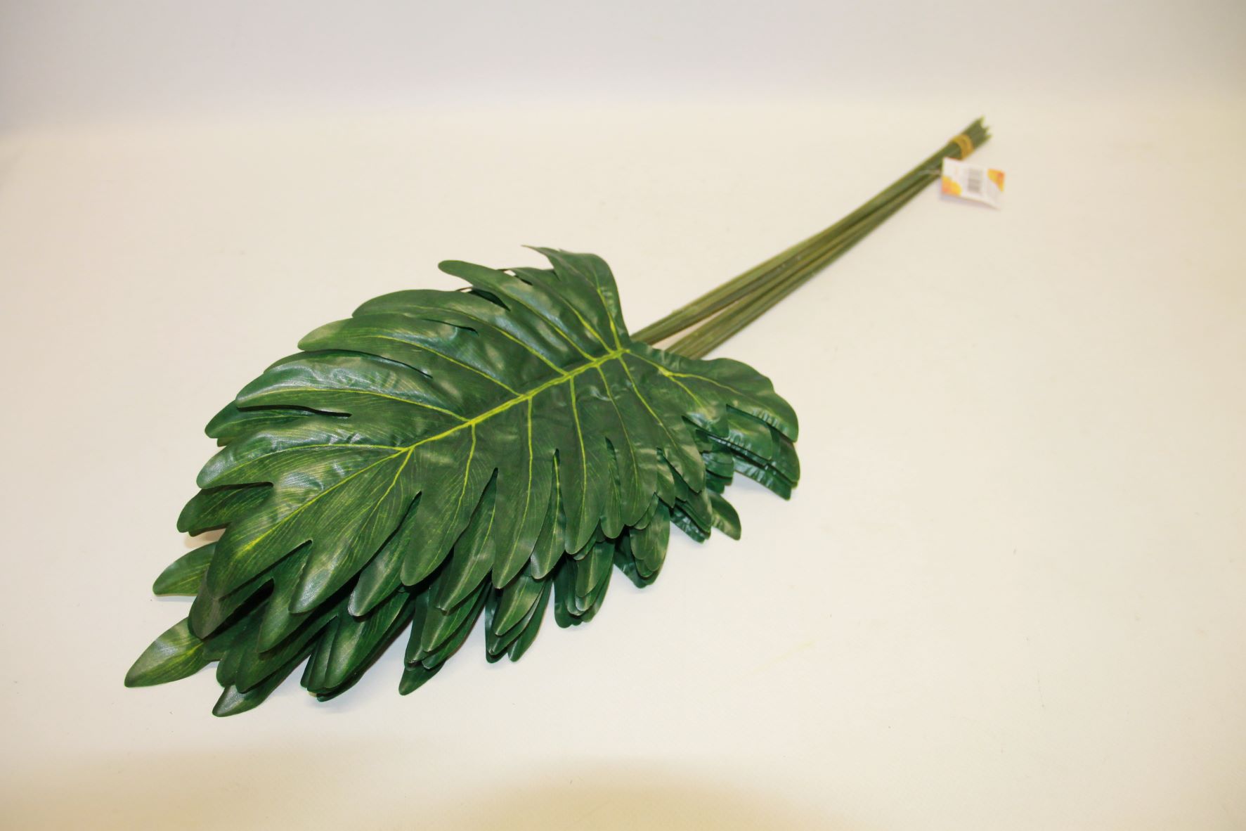LIŚĆ FILODENDRON