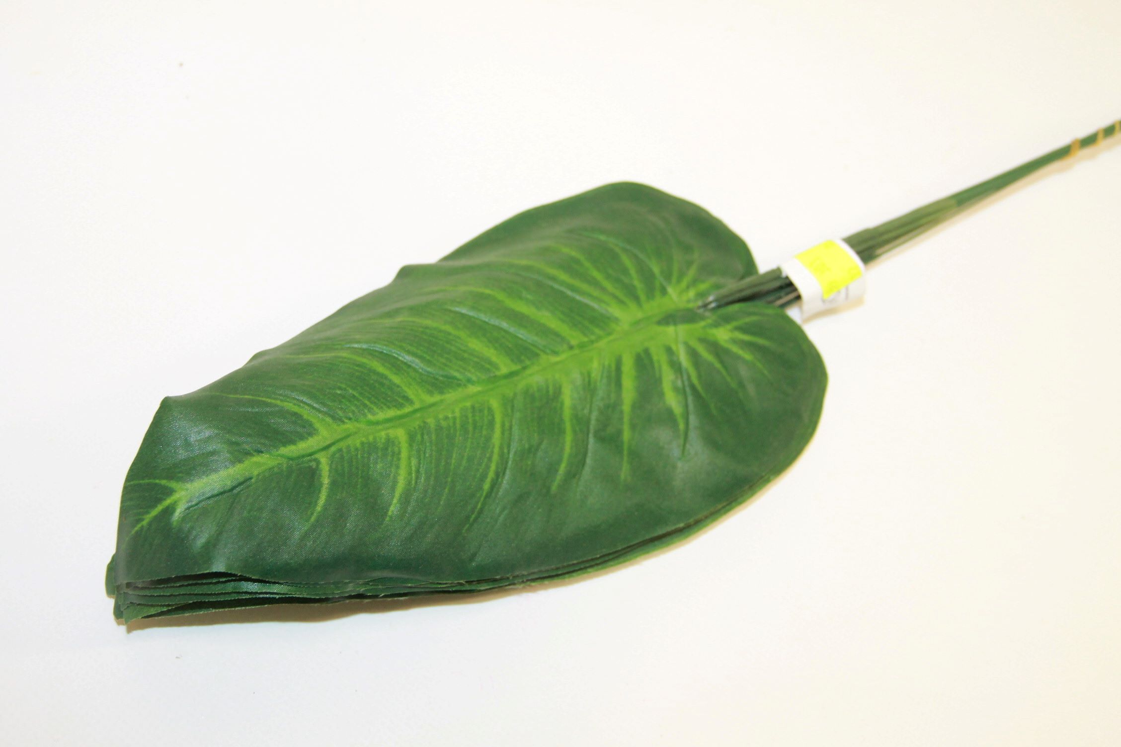 LIŚĆ SŁONIOWE UCHO 47 CM