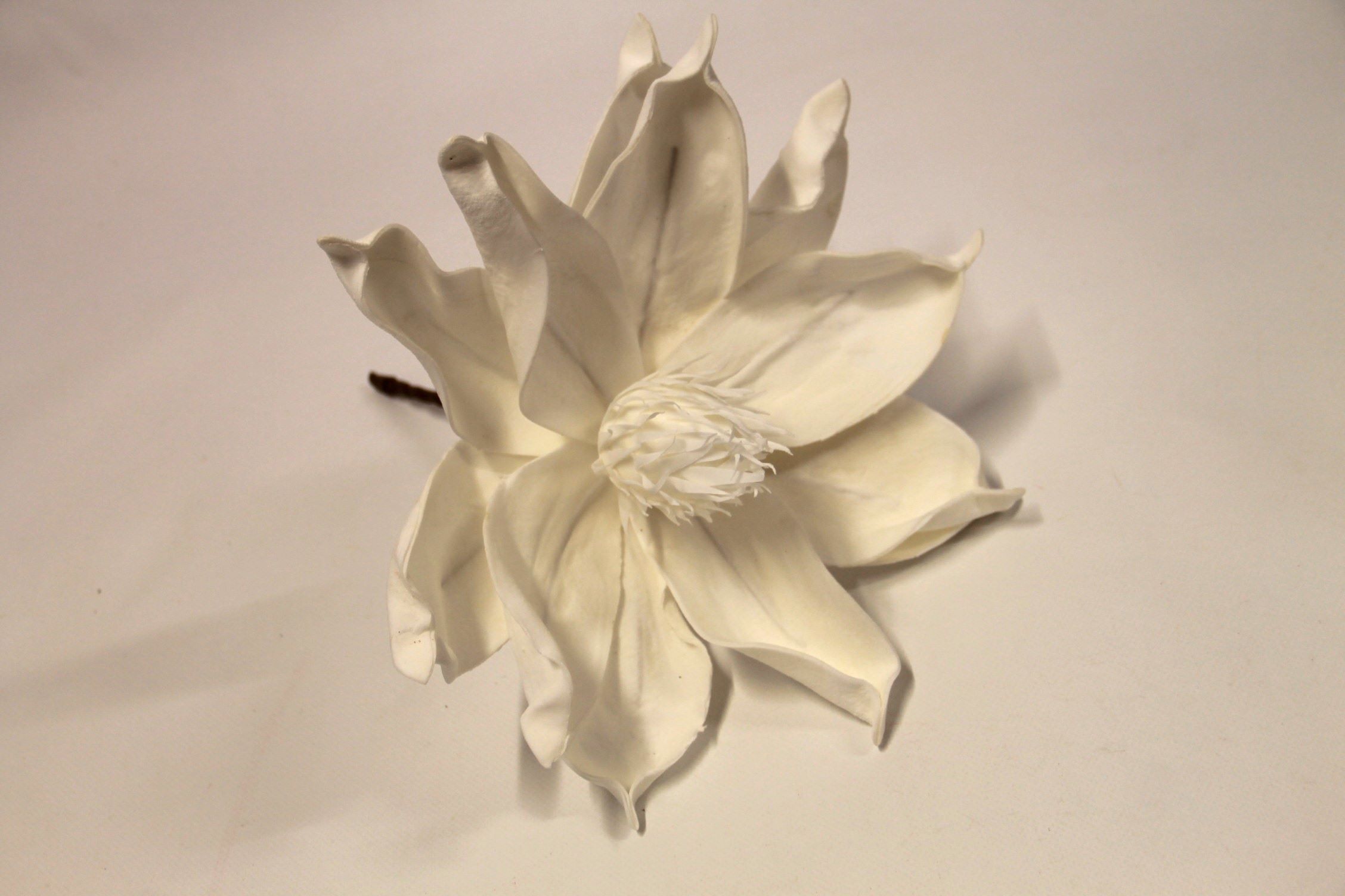 PIANKA MAGNOLIA DUŻA