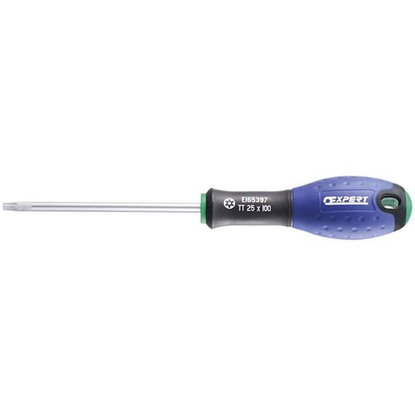 E165399 WKRĘTAK TORX Z OTWOREM T40X125MM