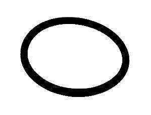 P-137-038 O-ring 26x2