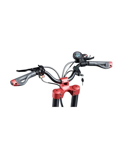 MOTUS PRO 11