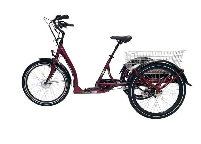 Rower GeoBike EcoEdition Maxi