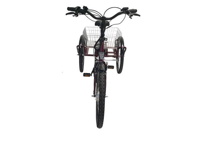 Rower GeoBike EcoEdition Maxi