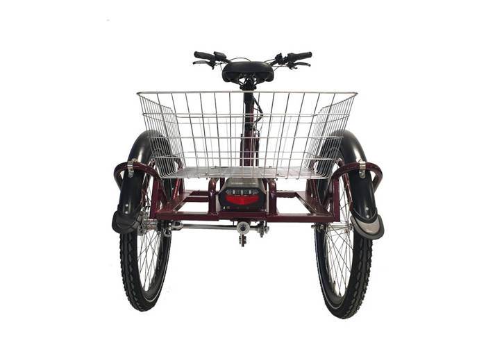 Rower GeoBike EcoEdition Maxi