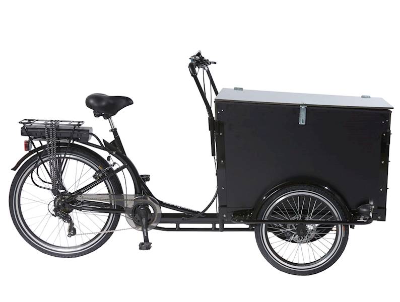 Rower Cargo Amladcykler Workman UltimateCurve