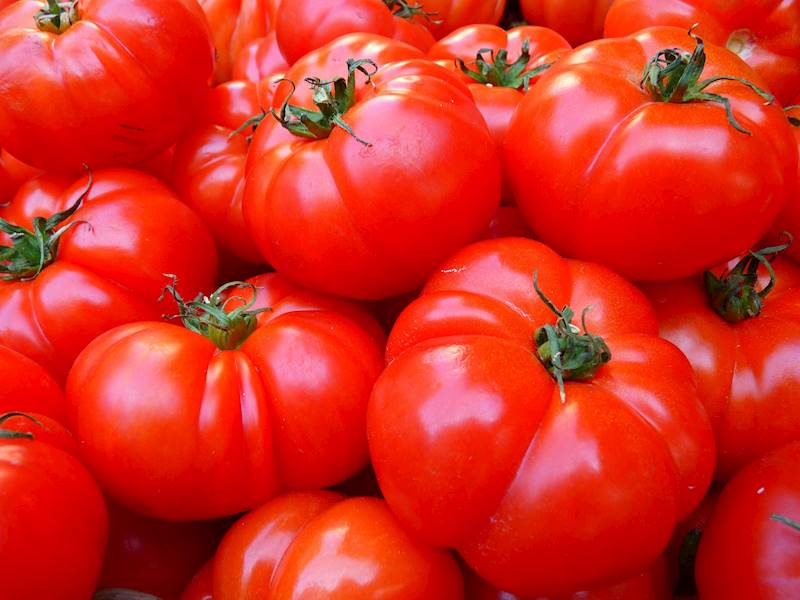 Sos pomidorowy EKO 300 g Runoland