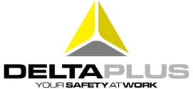 delta_plus1.jpg