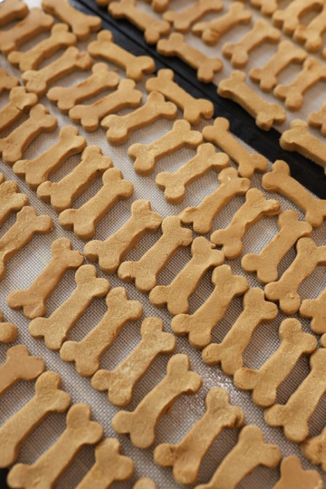 CIASTECZKA DLA PIESKA 60G